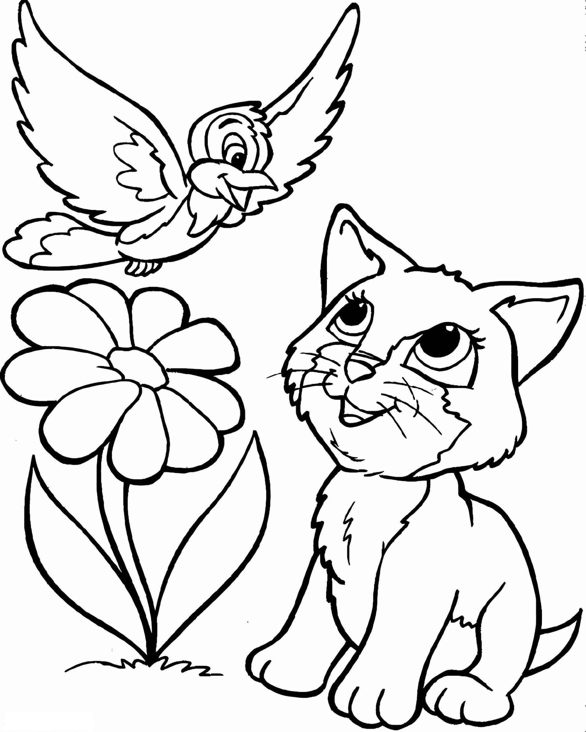 Bird And Cat A4