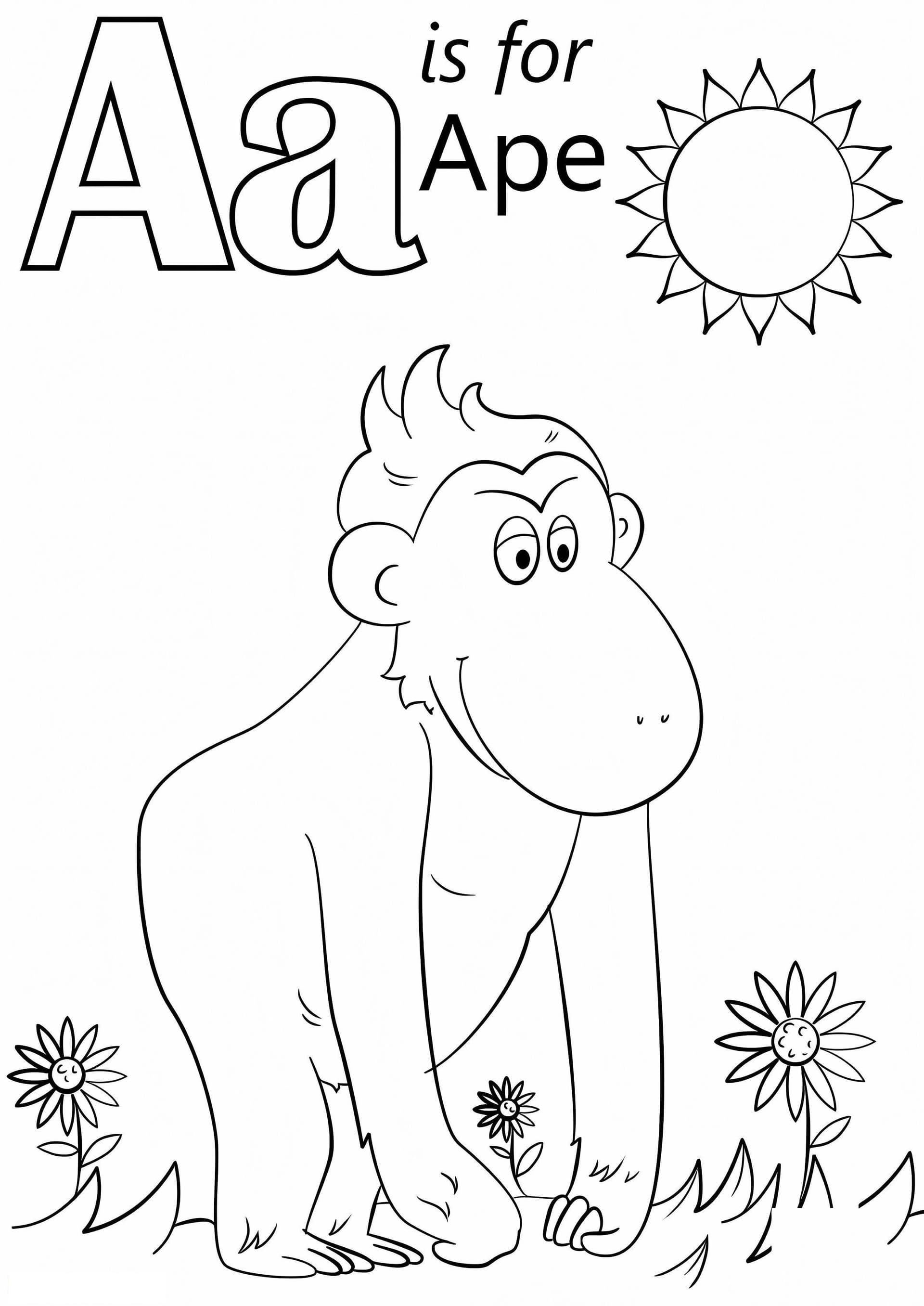 A Is For Ape