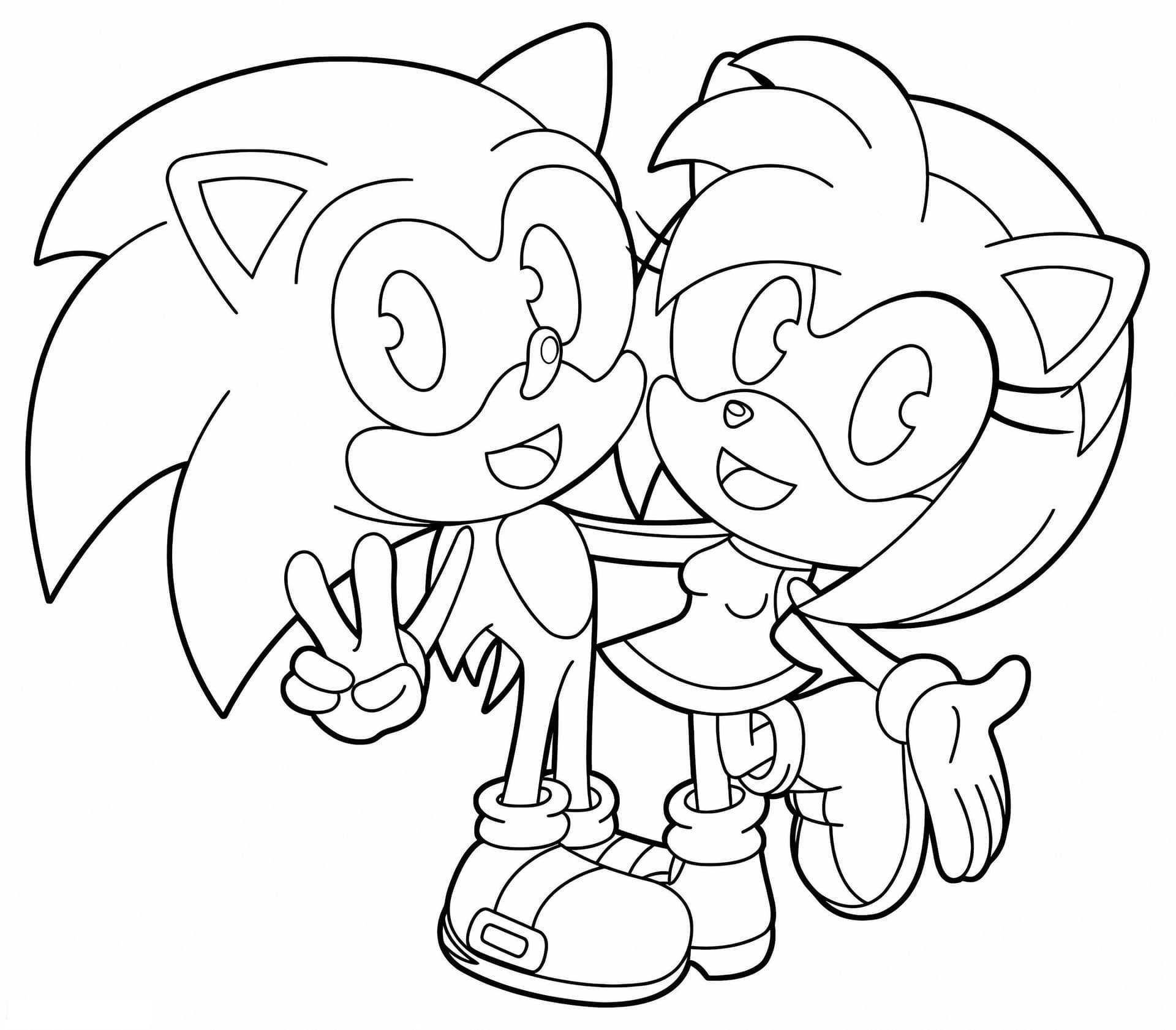 Amy Rose And Sonic