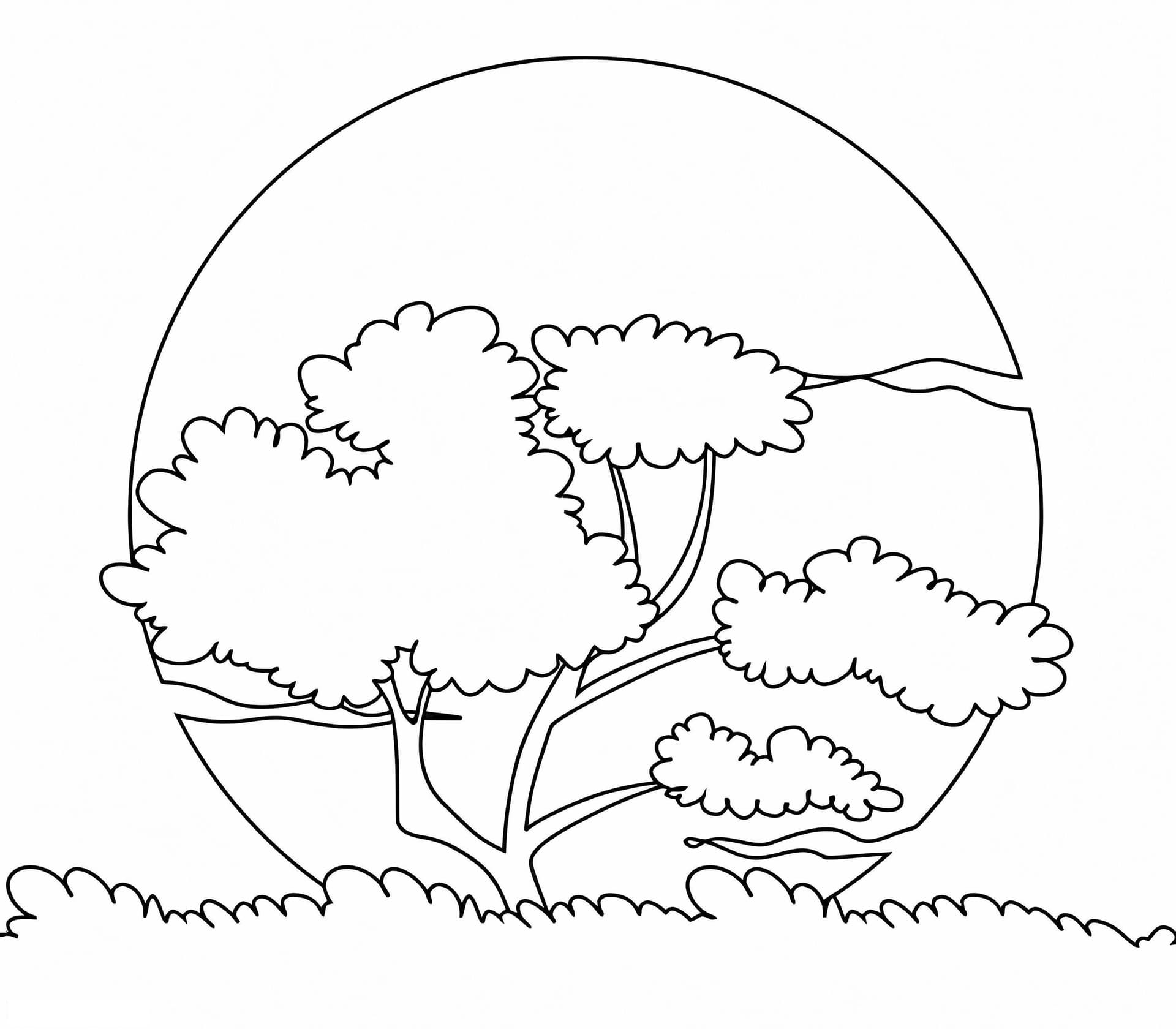 Awsome Sunset Picture