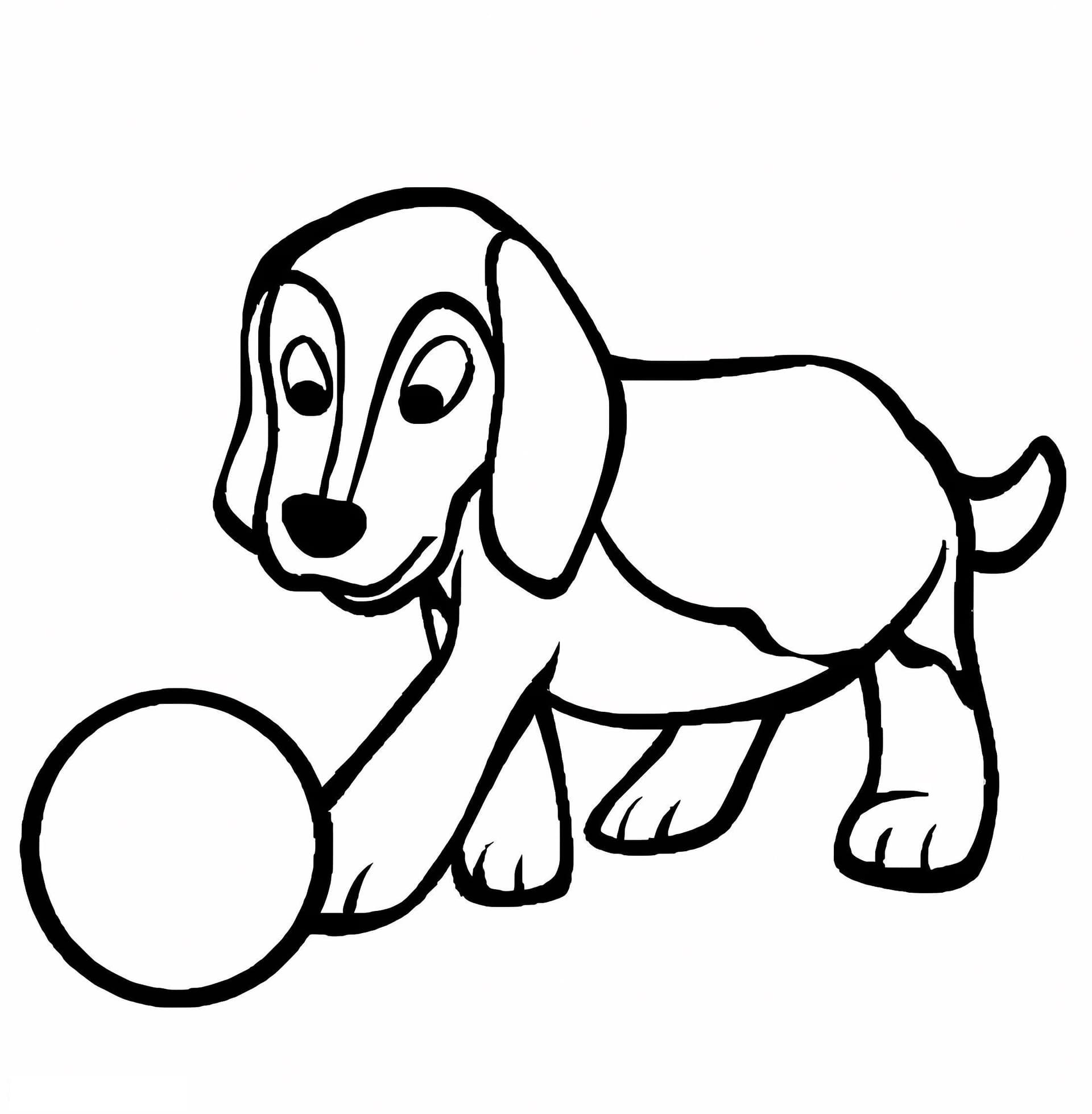 Beagle mit einem Ball