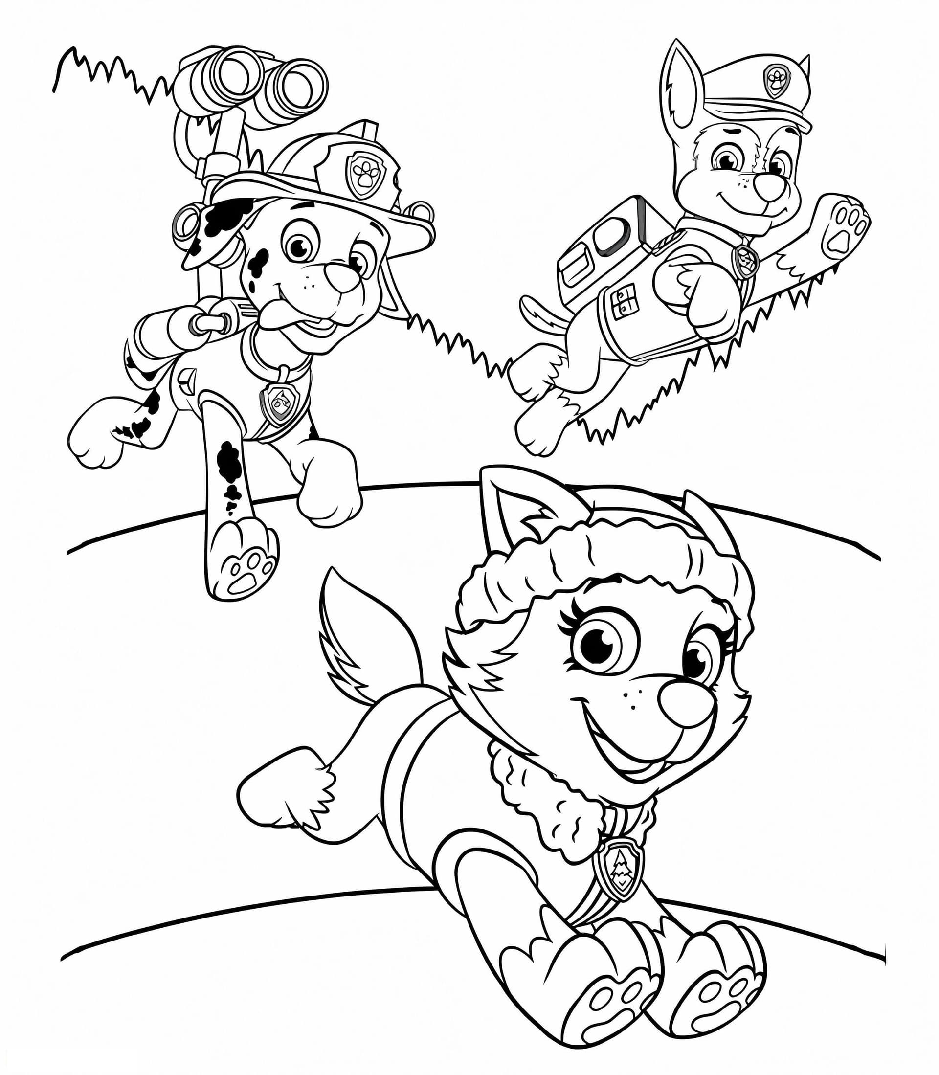 Chase Paw Patrol 9