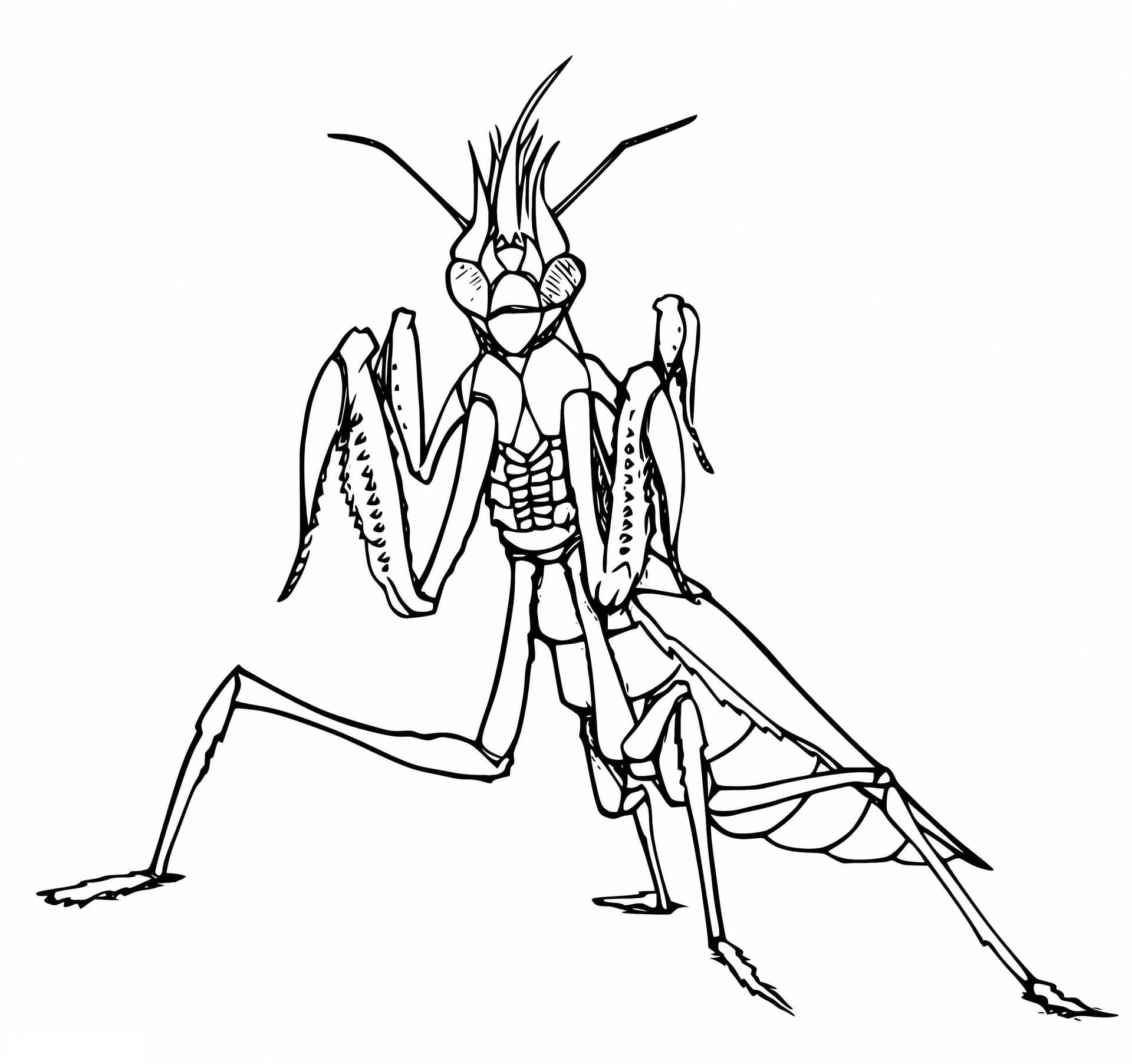 Gruselige Gottesanbeterin