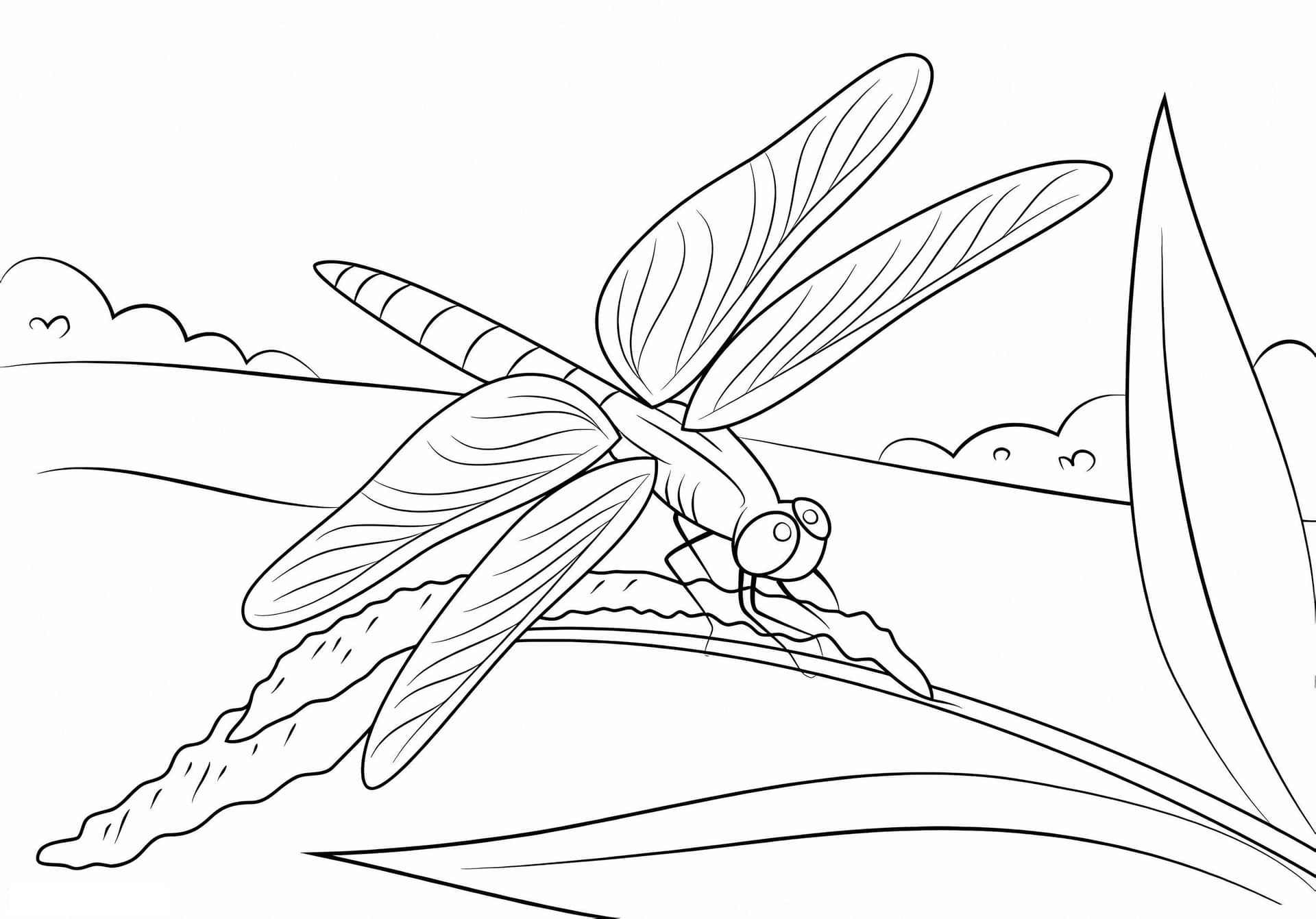Dragonfly Sits On Stem