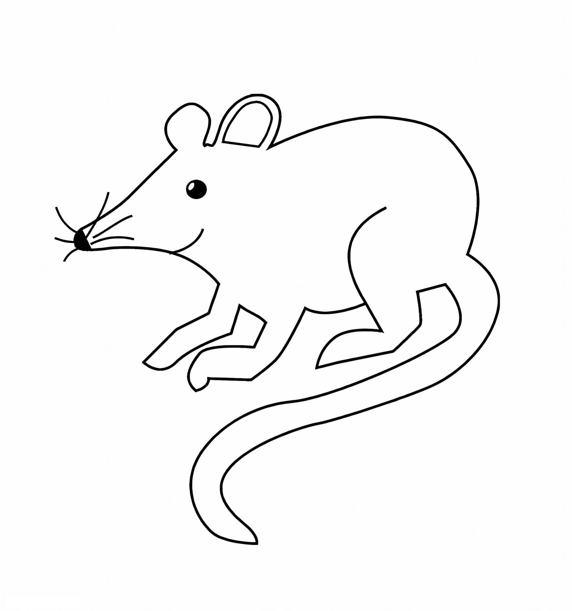 Easy Cartoon Rat