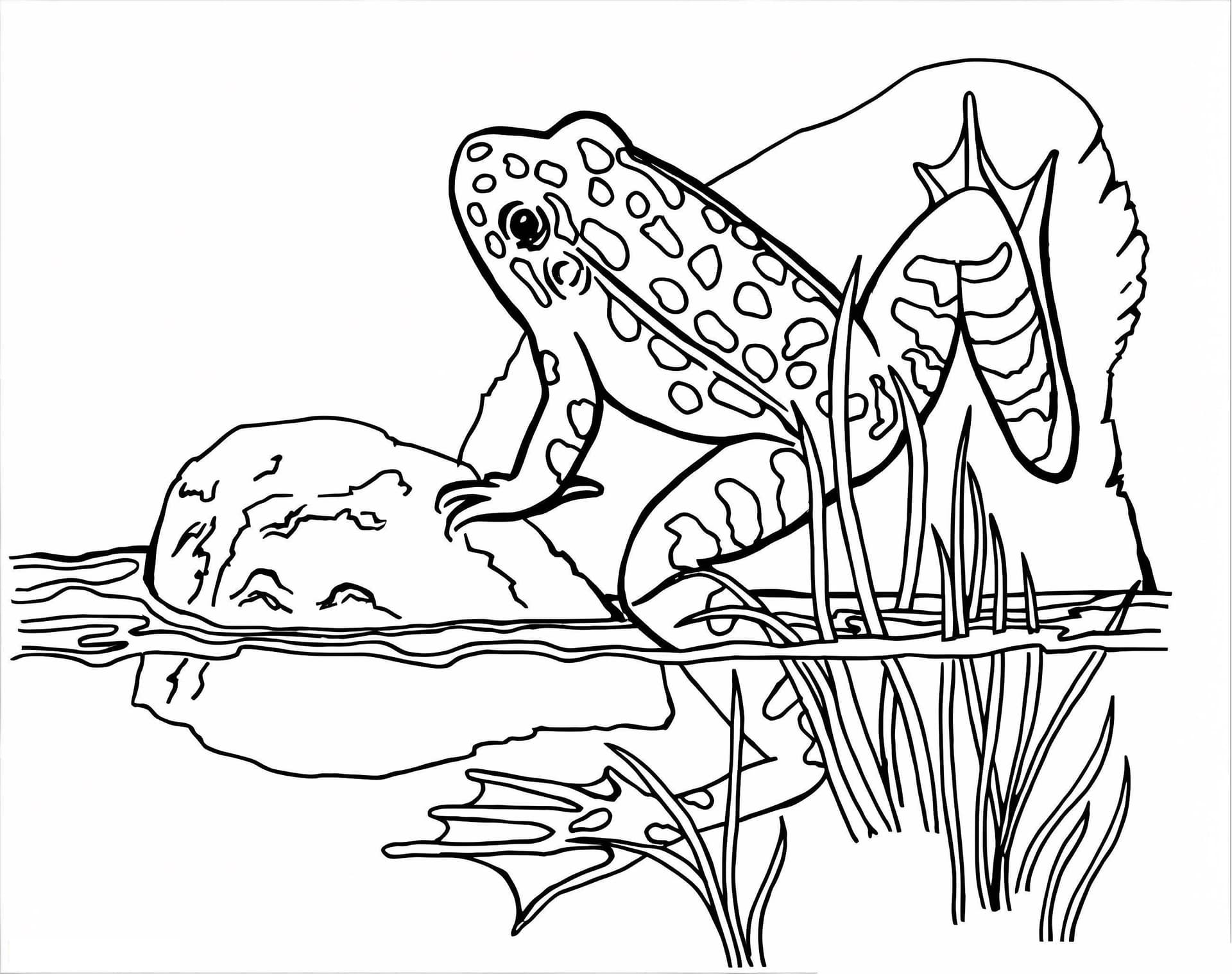 Frog Climbing