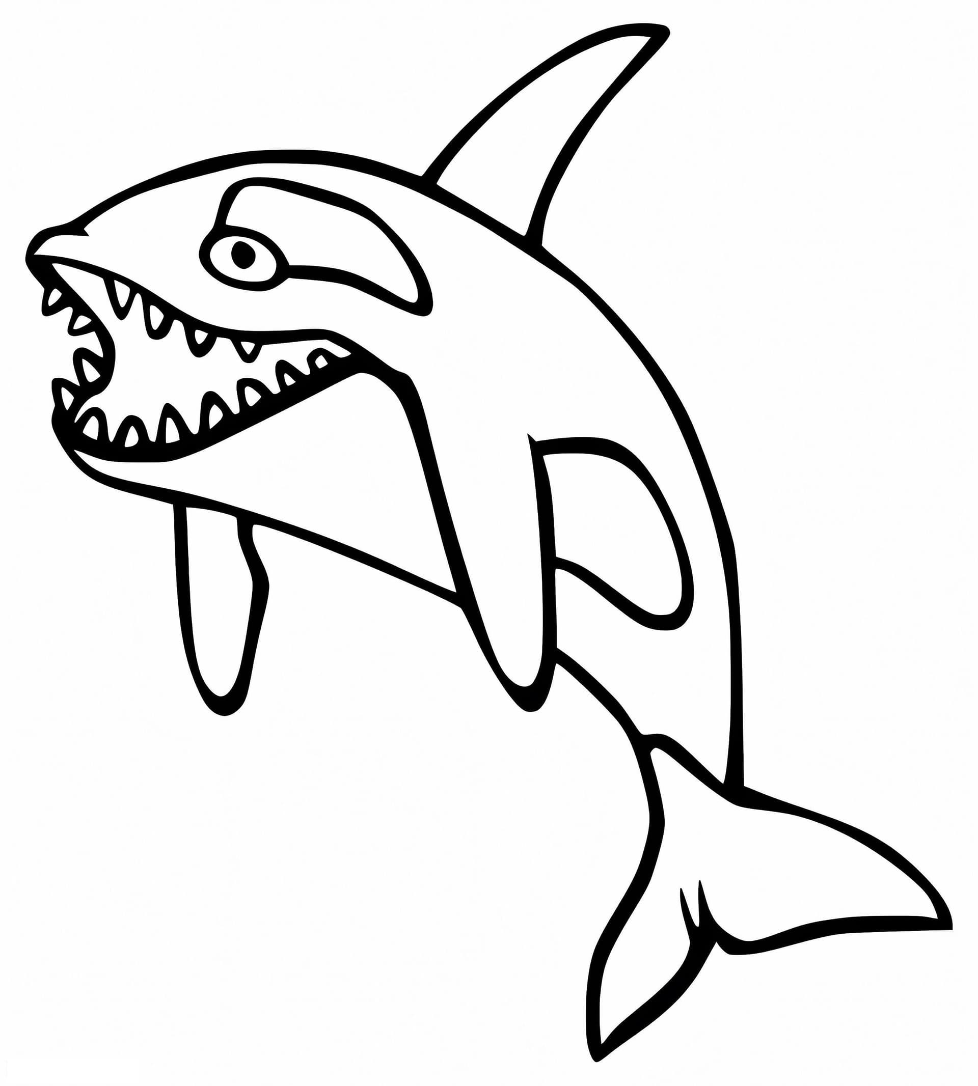 Fierce Killer Whale
