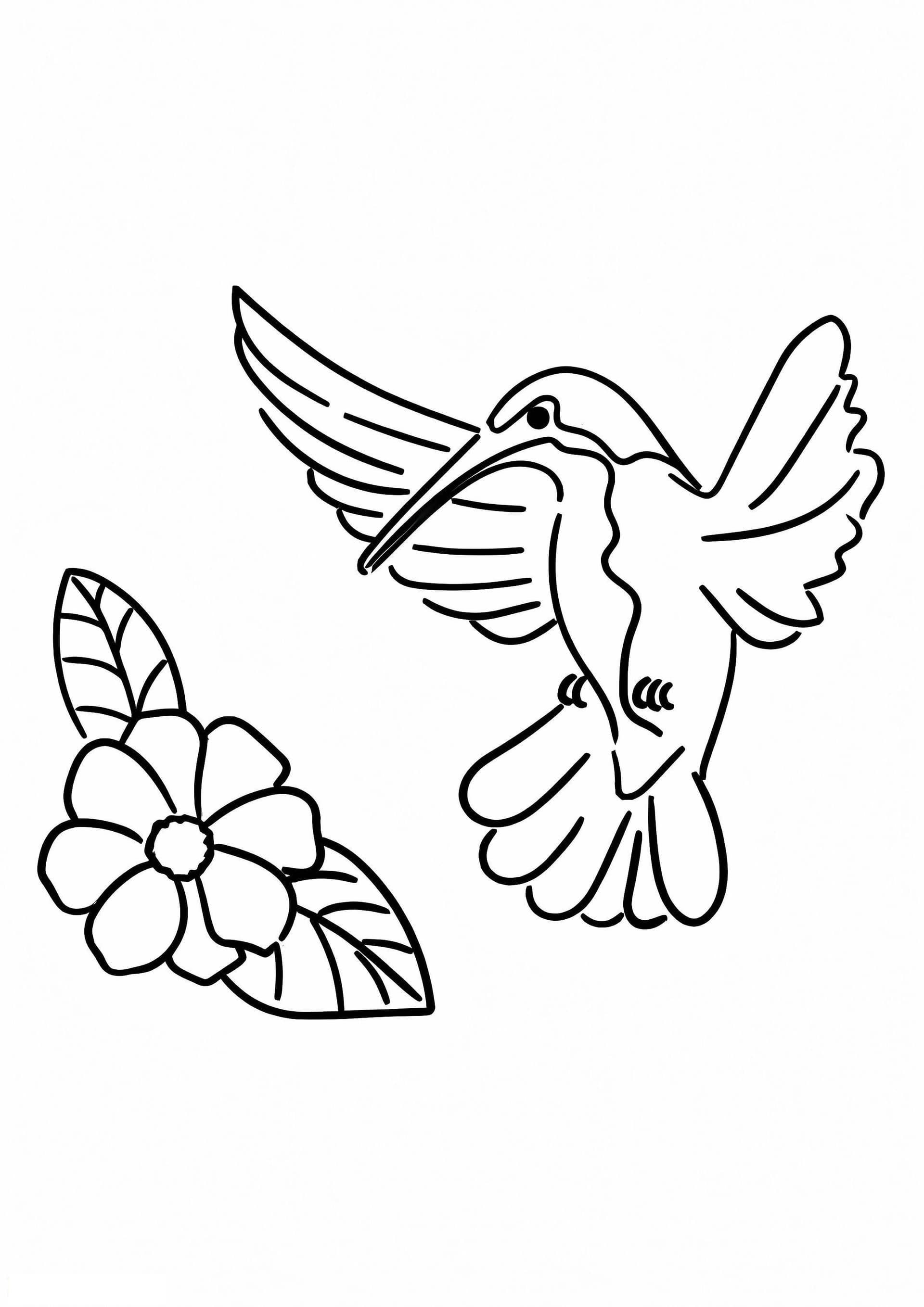 Hummingbird Flower And Leaf