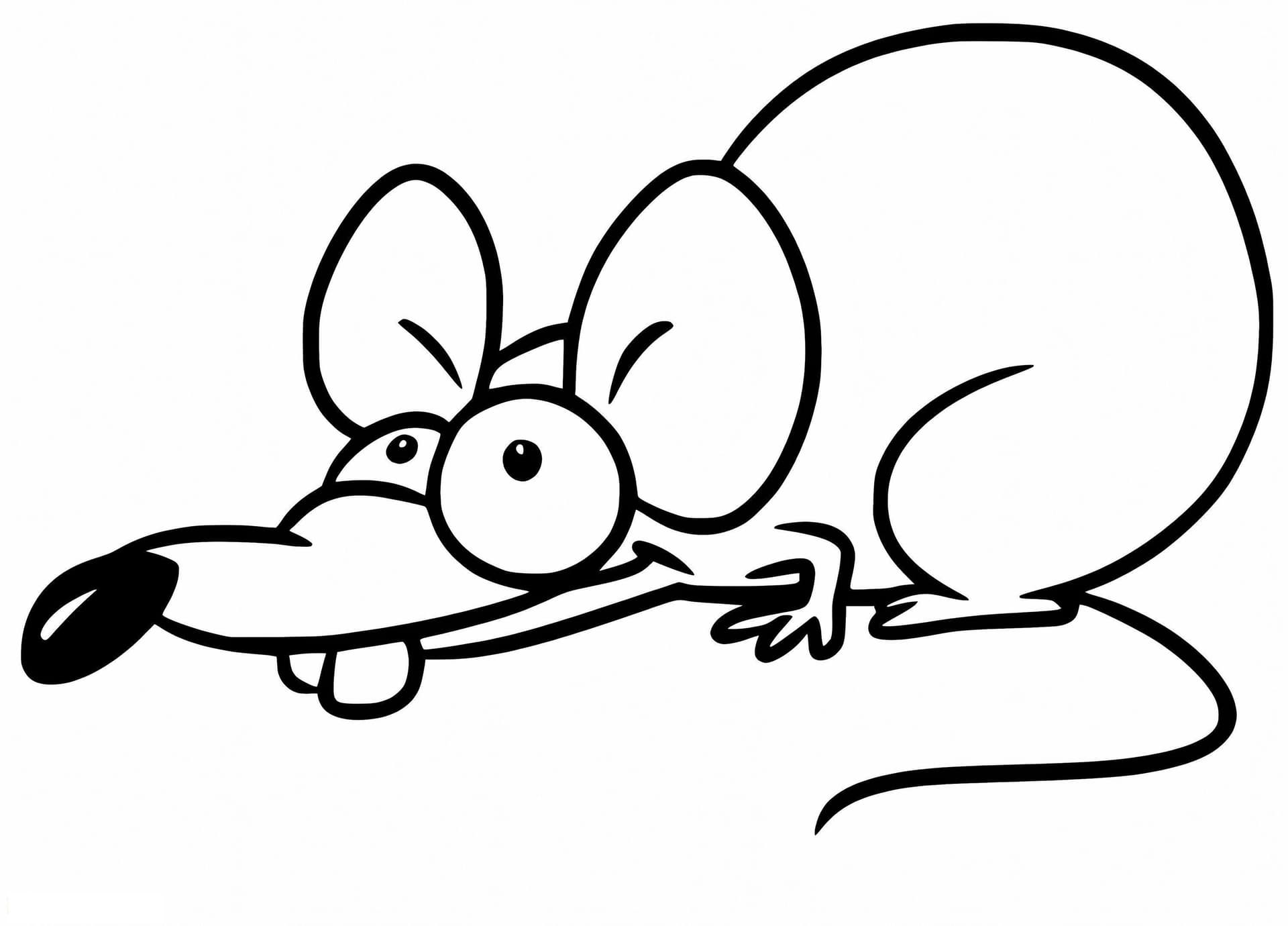 Foxy Rat