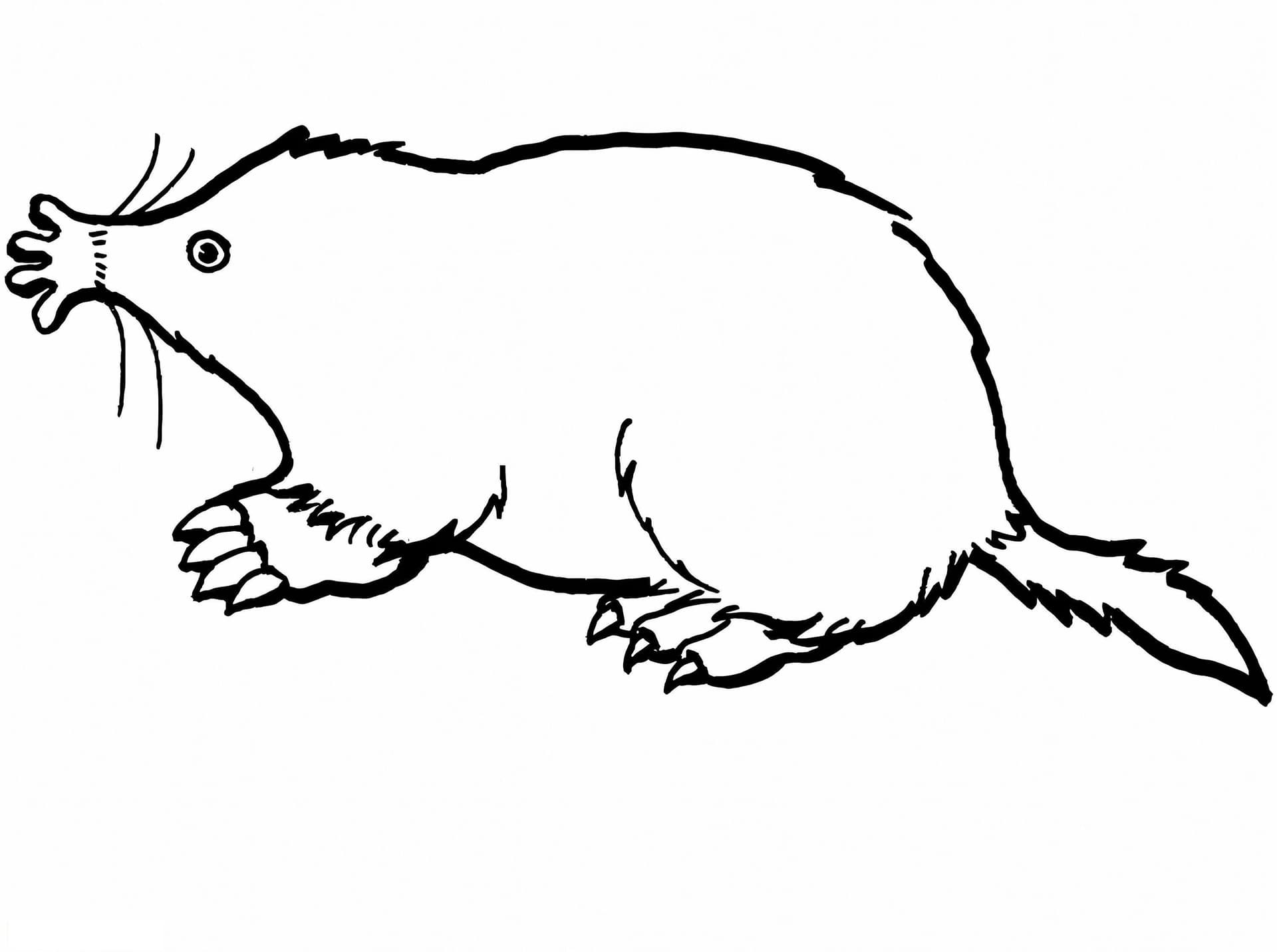 Free Mole