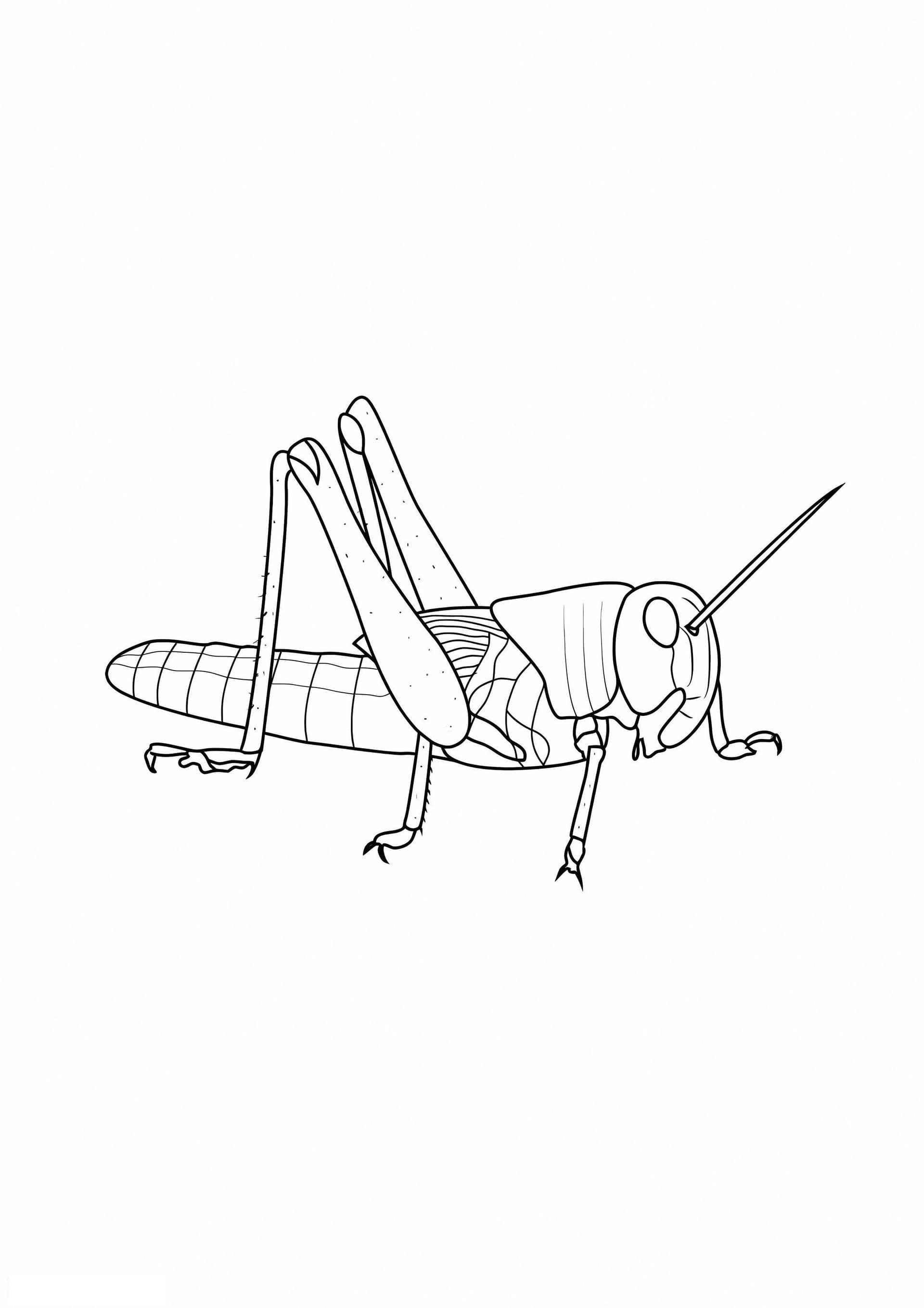 Отличный крикет