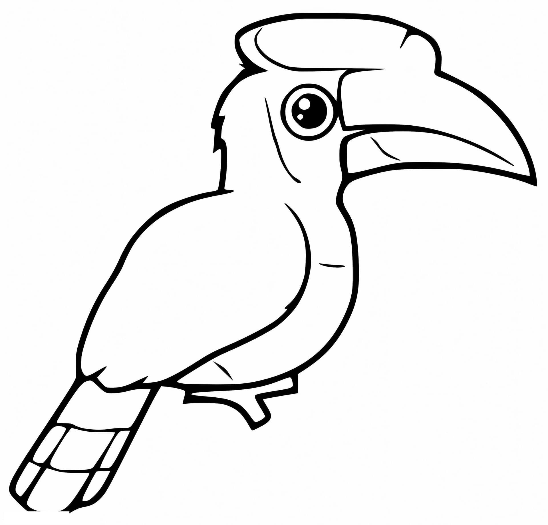 Doppelhornvogel