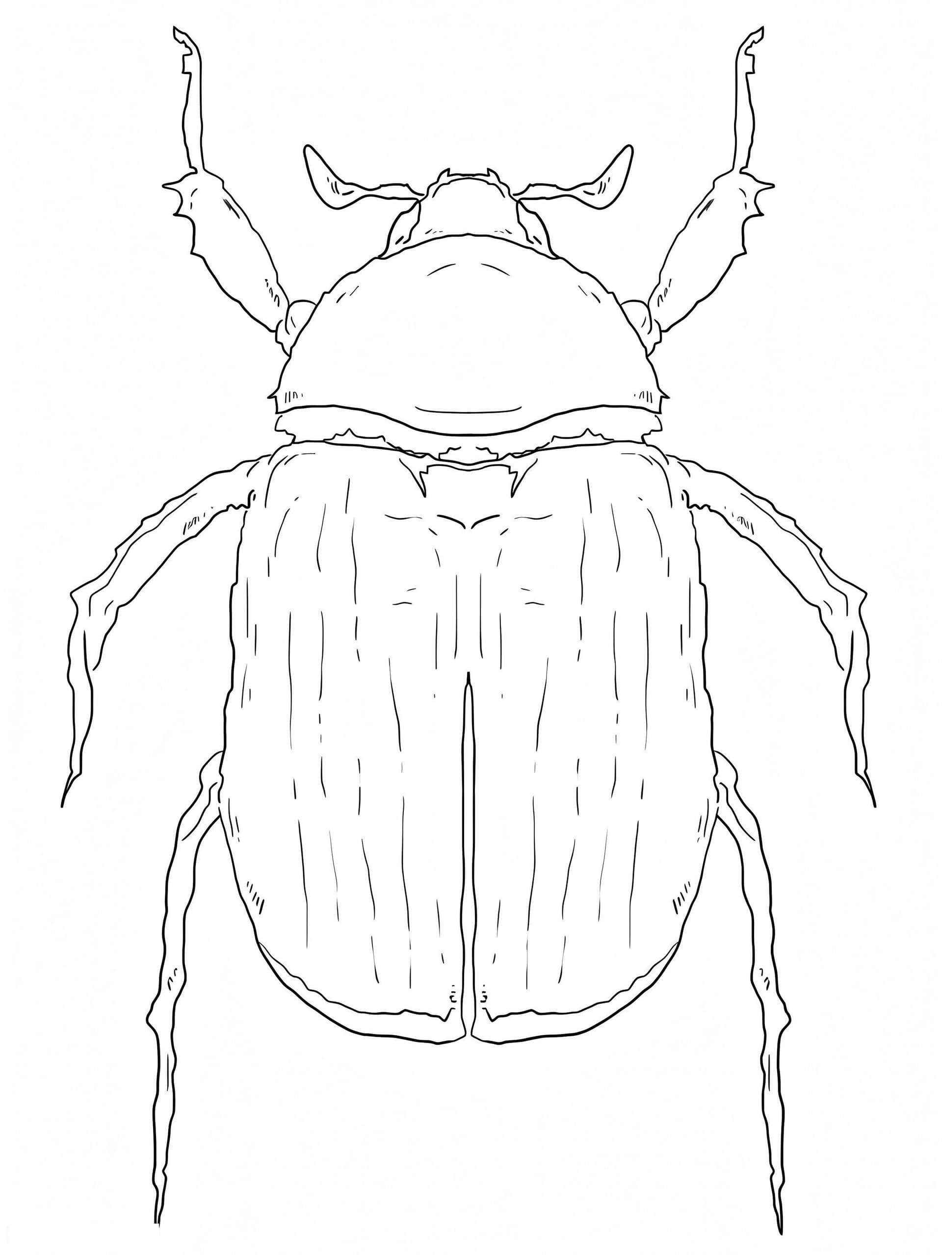 Grüner Pillendreher