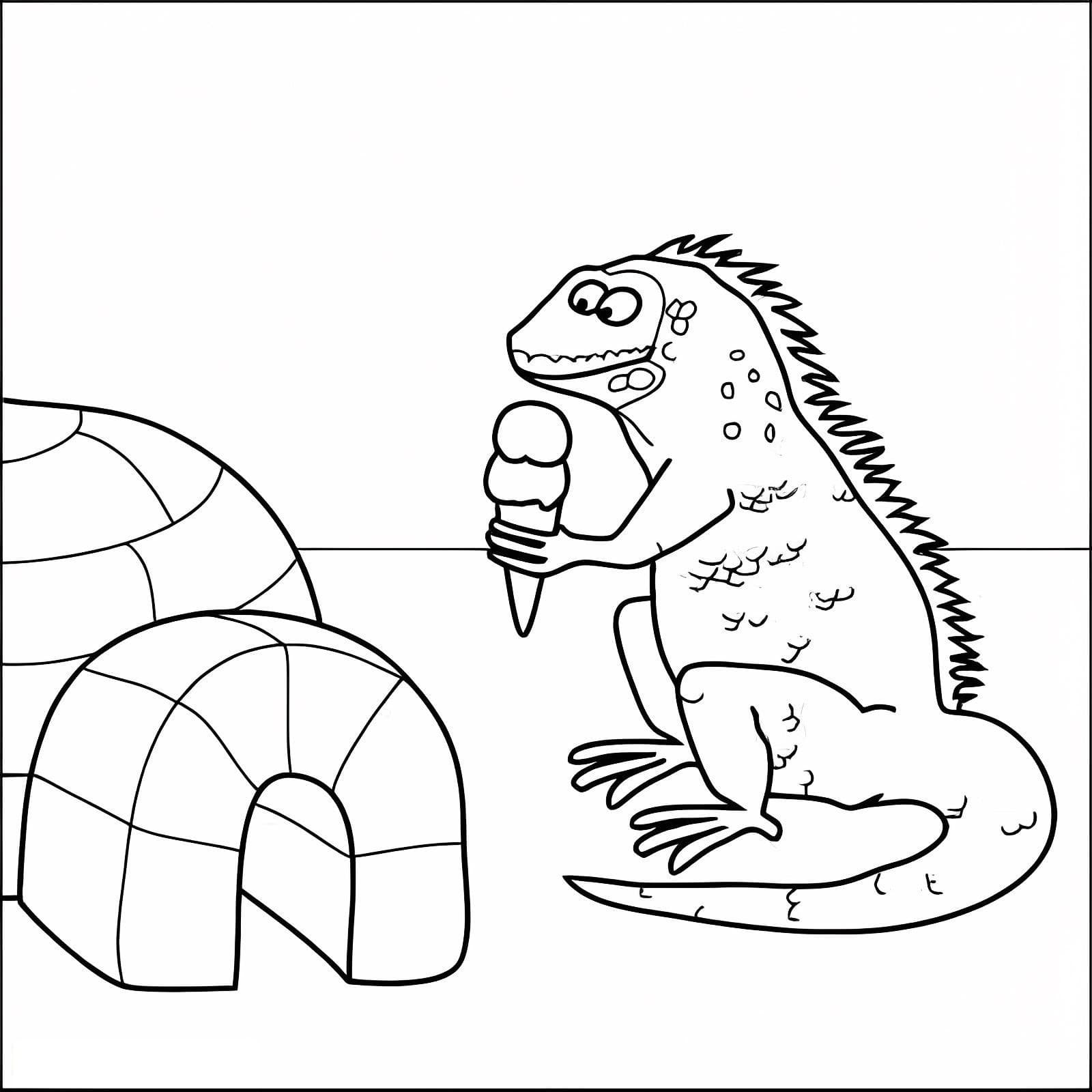 Iguana And Igloo