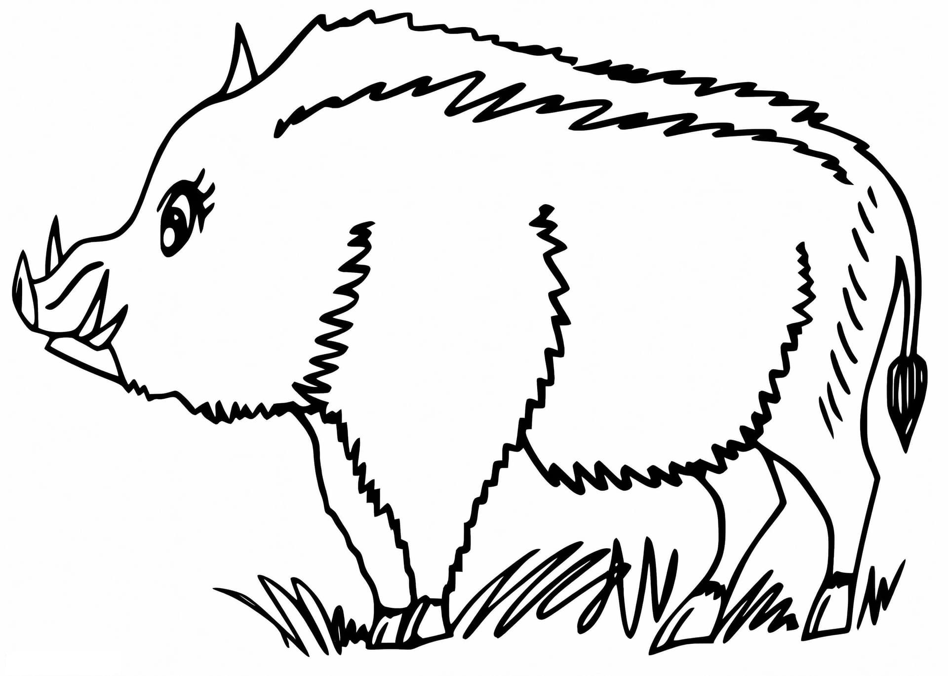 Normal Boar