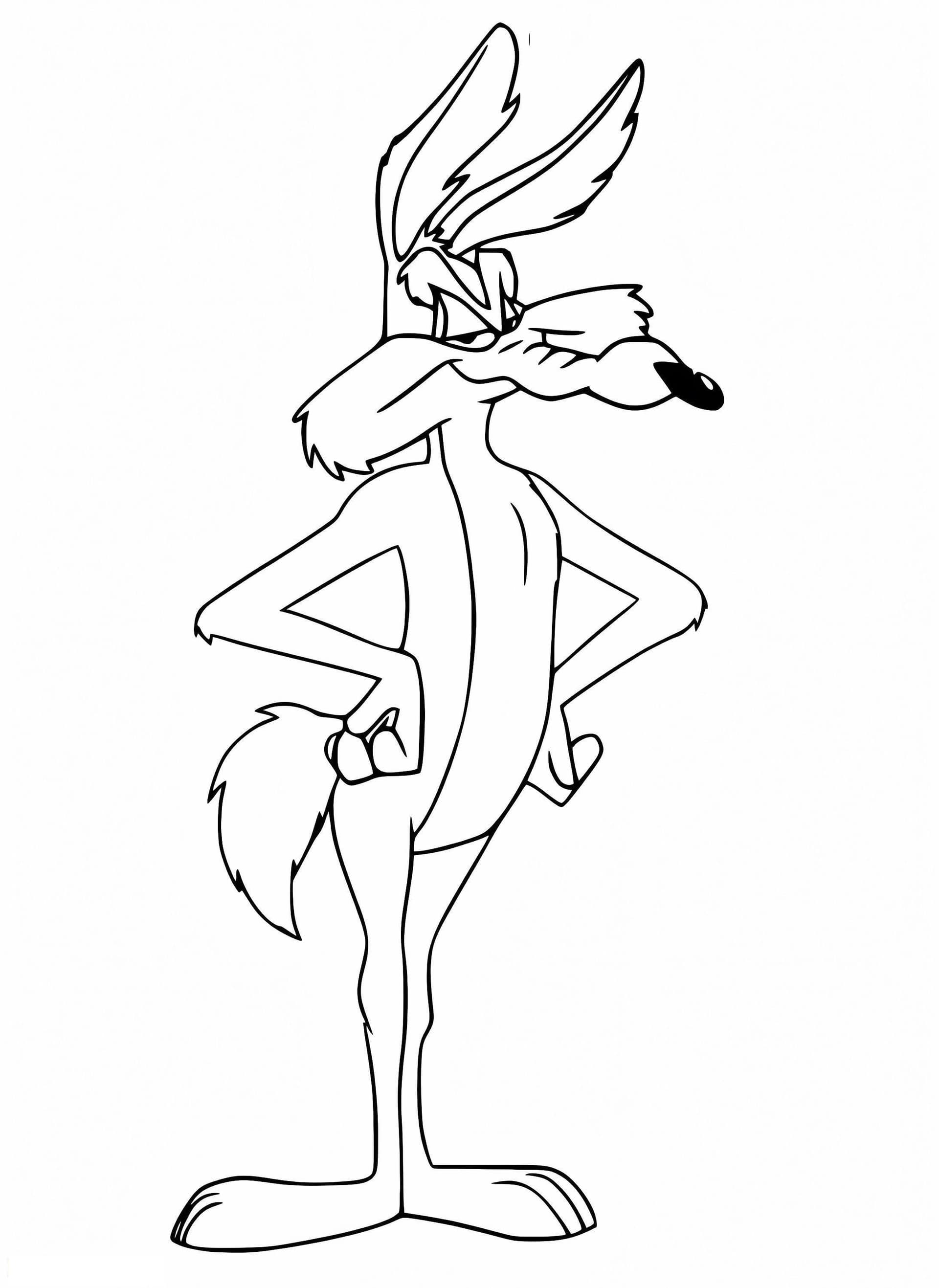 Looney Tunes Wile E Coyote