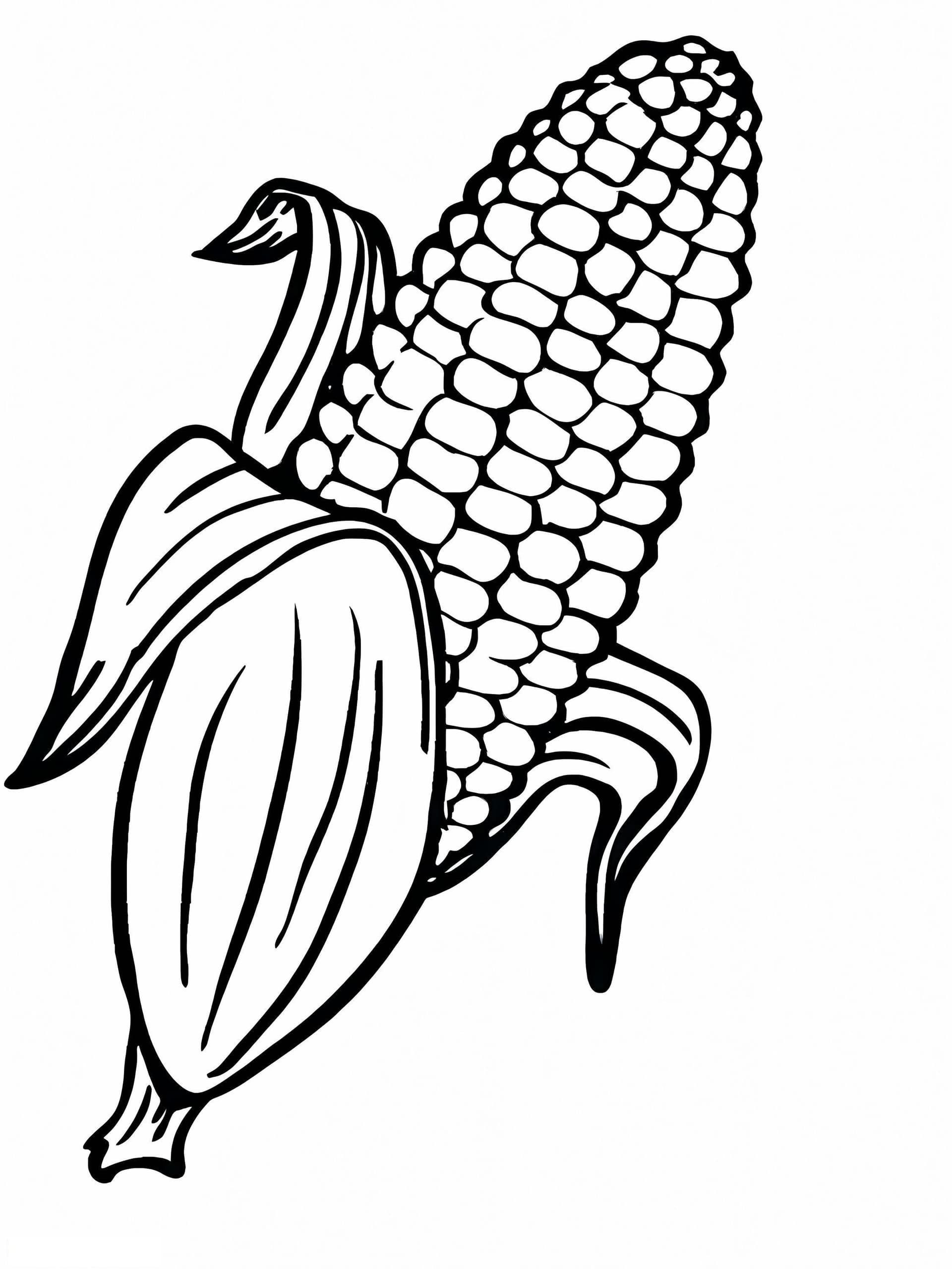Simple Corn