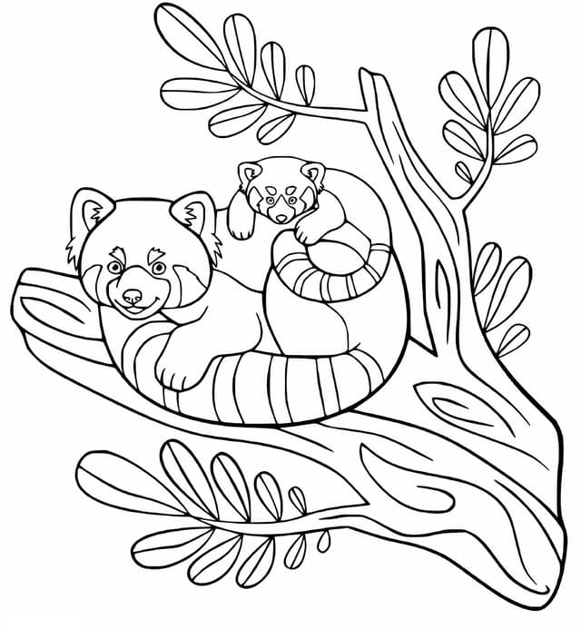 Mutter Und Baby Panda Auf Baumast