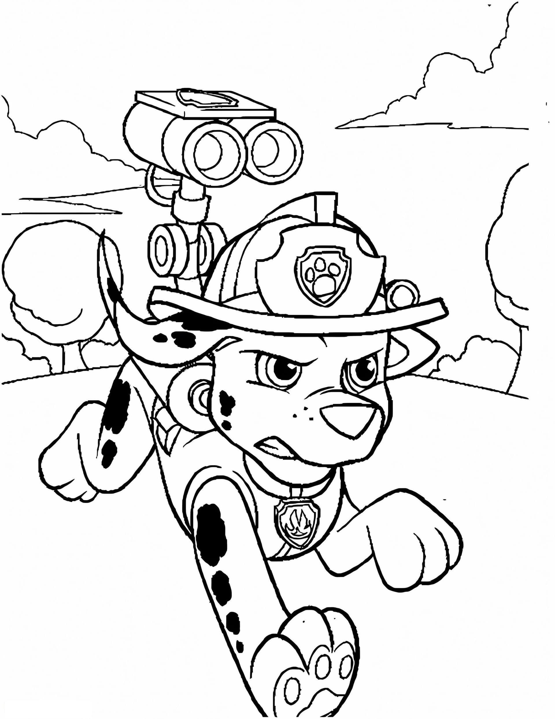Marshall Paw Patrol Angry