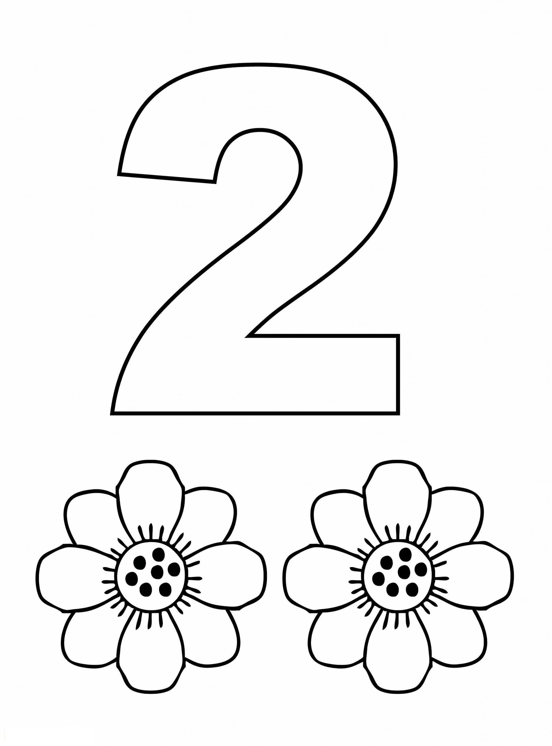 Nummer 2 und Zwei Blumen