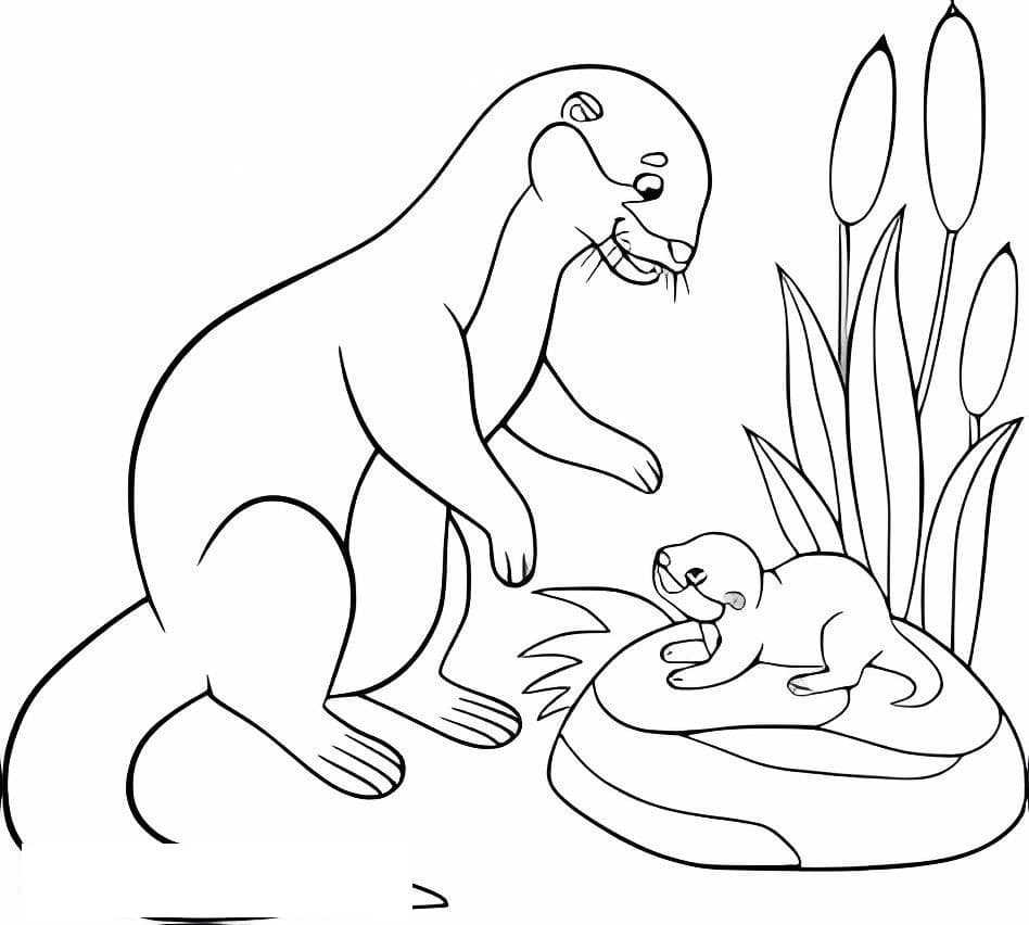 Mother And Baby Otter