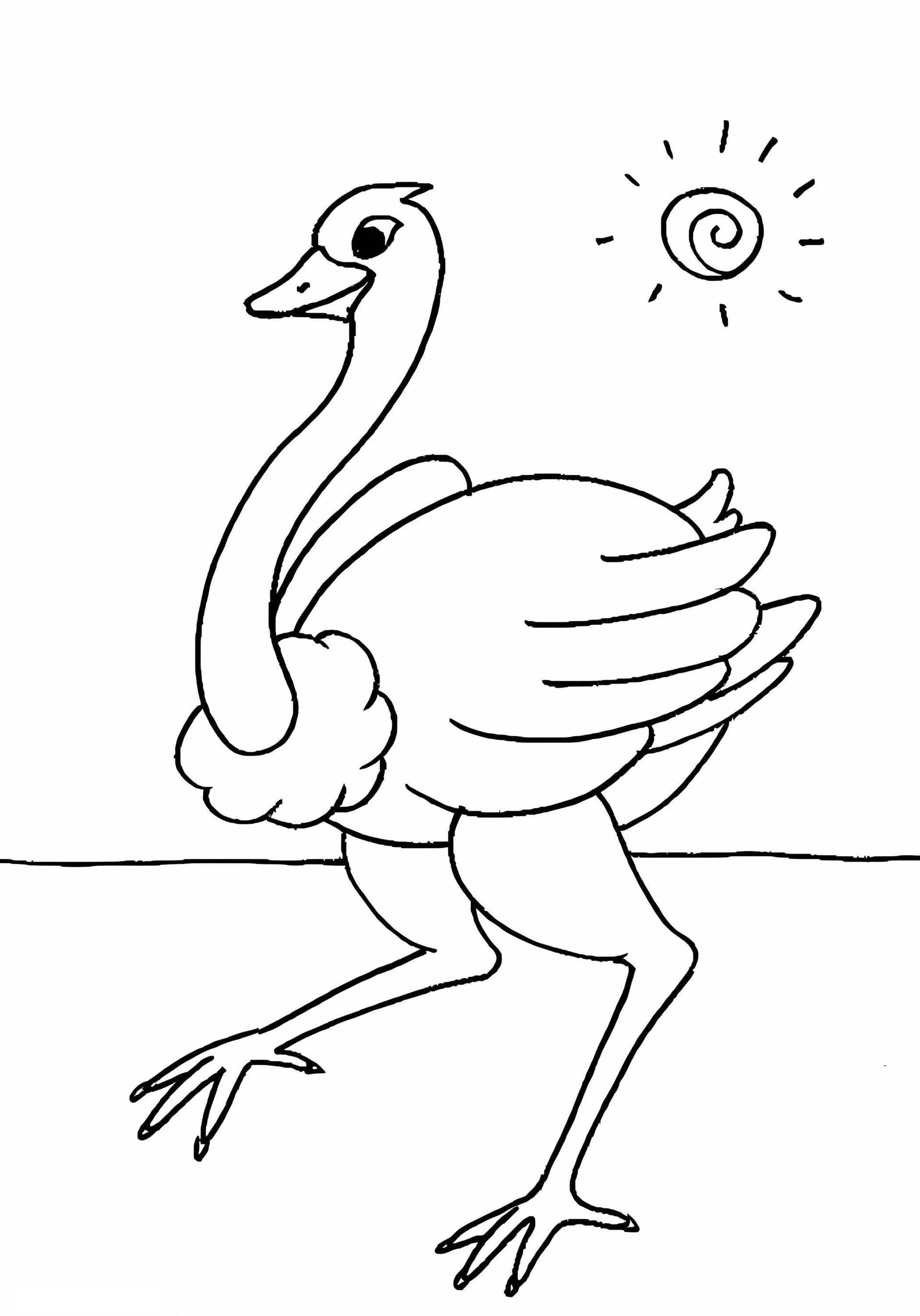 Ostrich And Sun