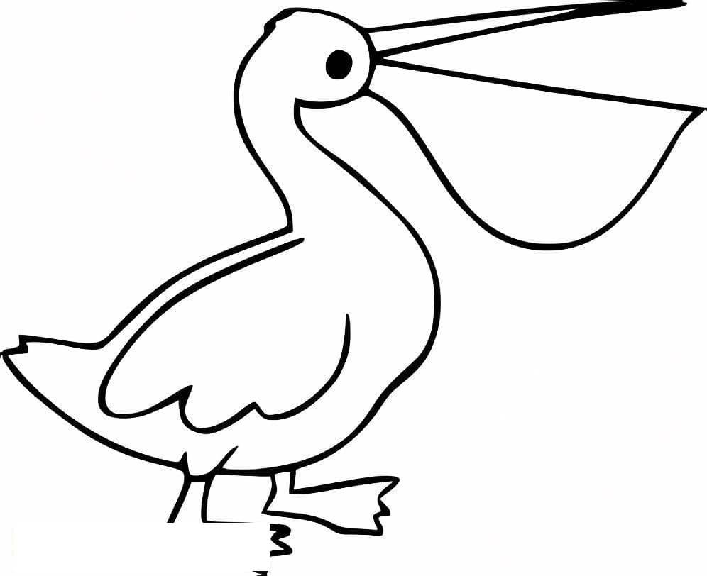 Easy Pelican