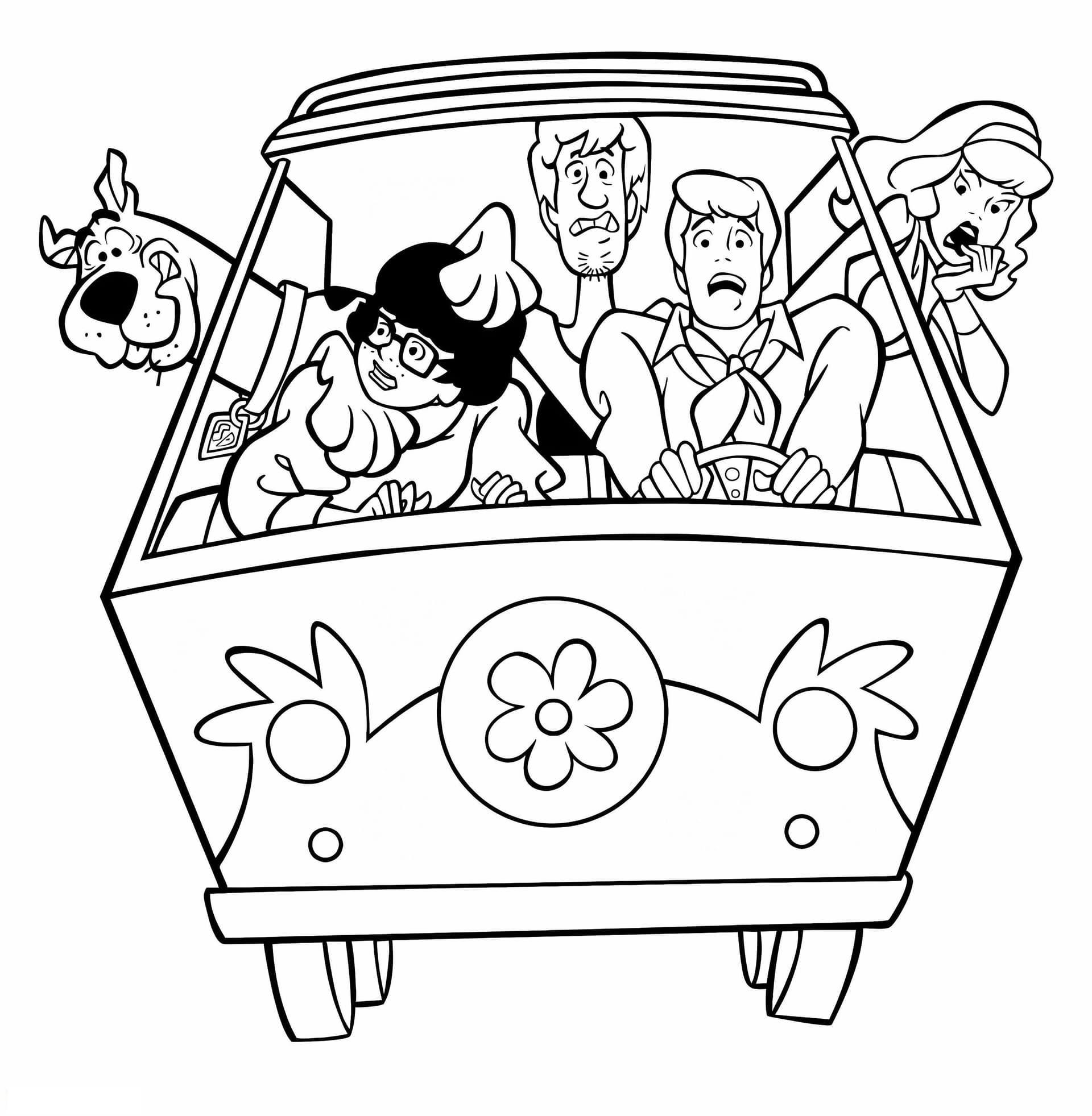 Shaggy And Scooby Doo Scared