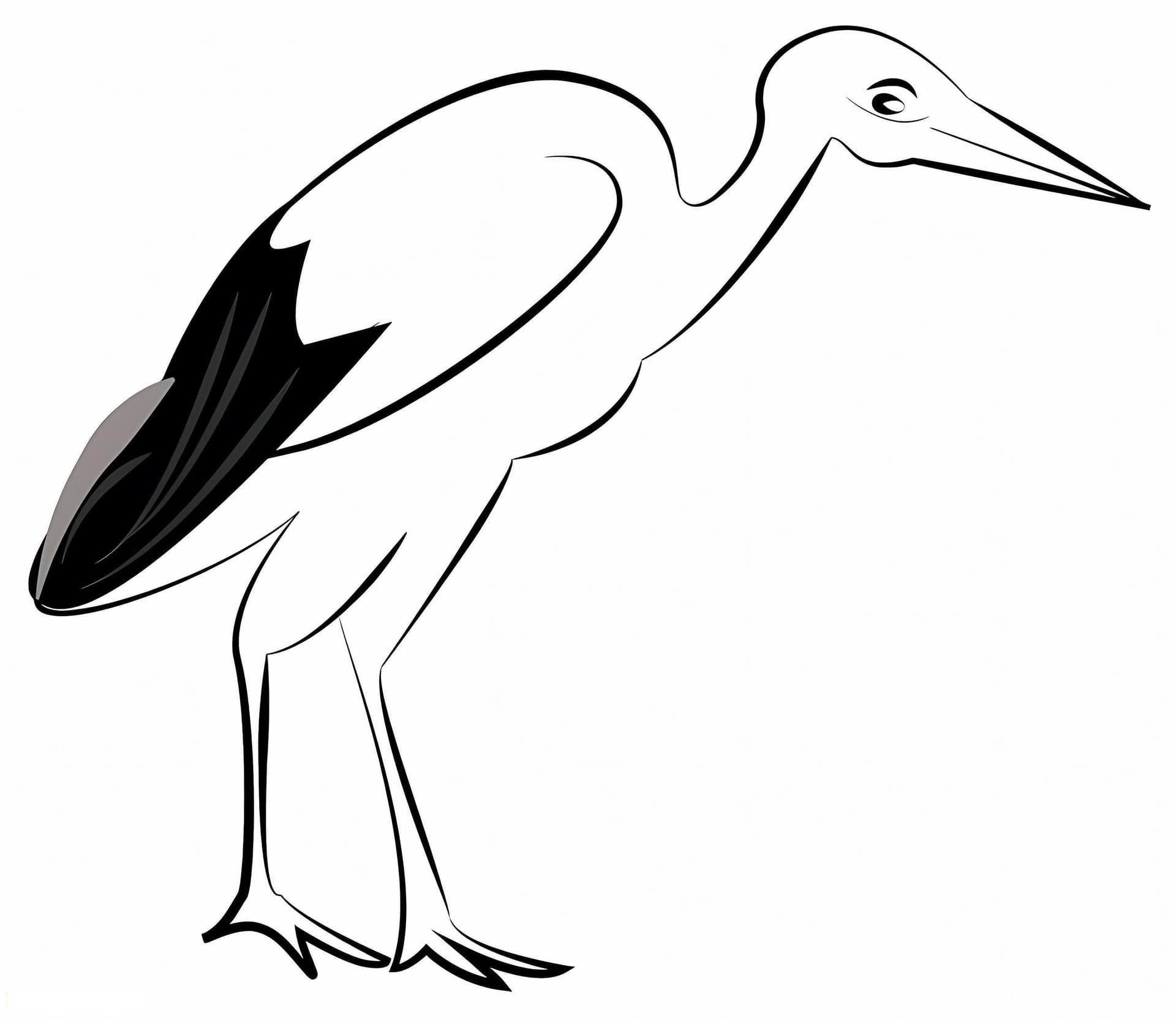 White Stork 1