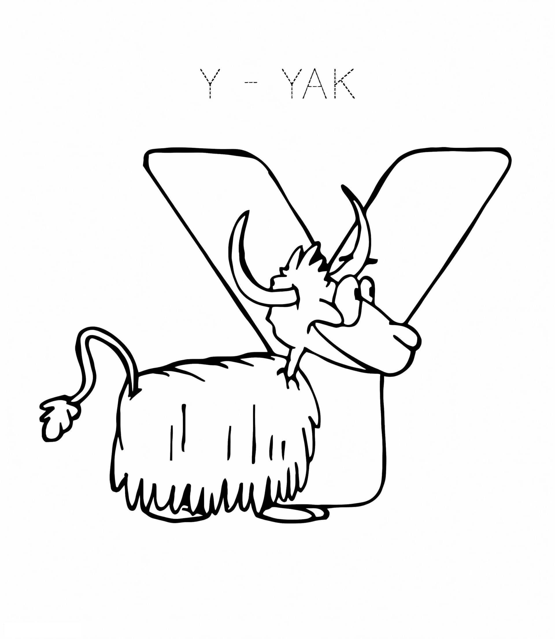 Yak Buchstabe Y 2