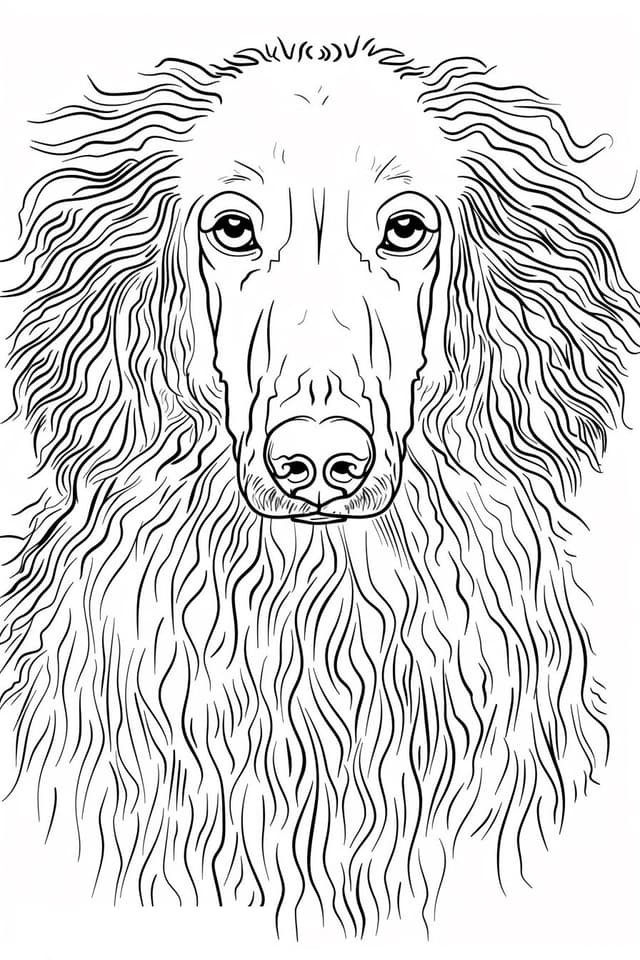 Afghan Hound Coloring Pages Free Printable PDF
