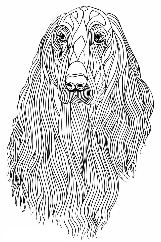 Afghan Hound Coloring Pages Free Printable PDF