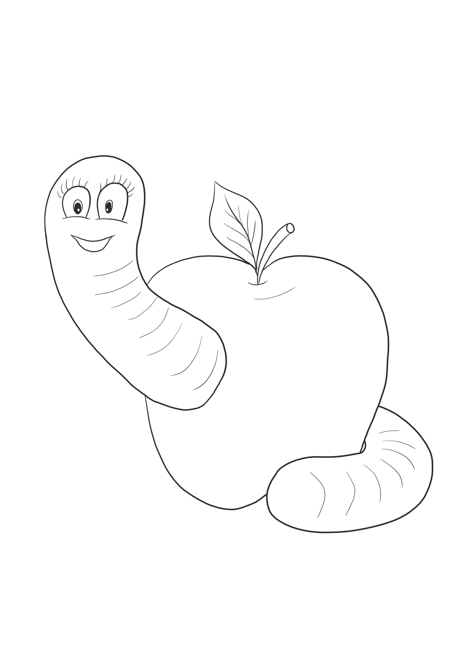 Apfelwurm