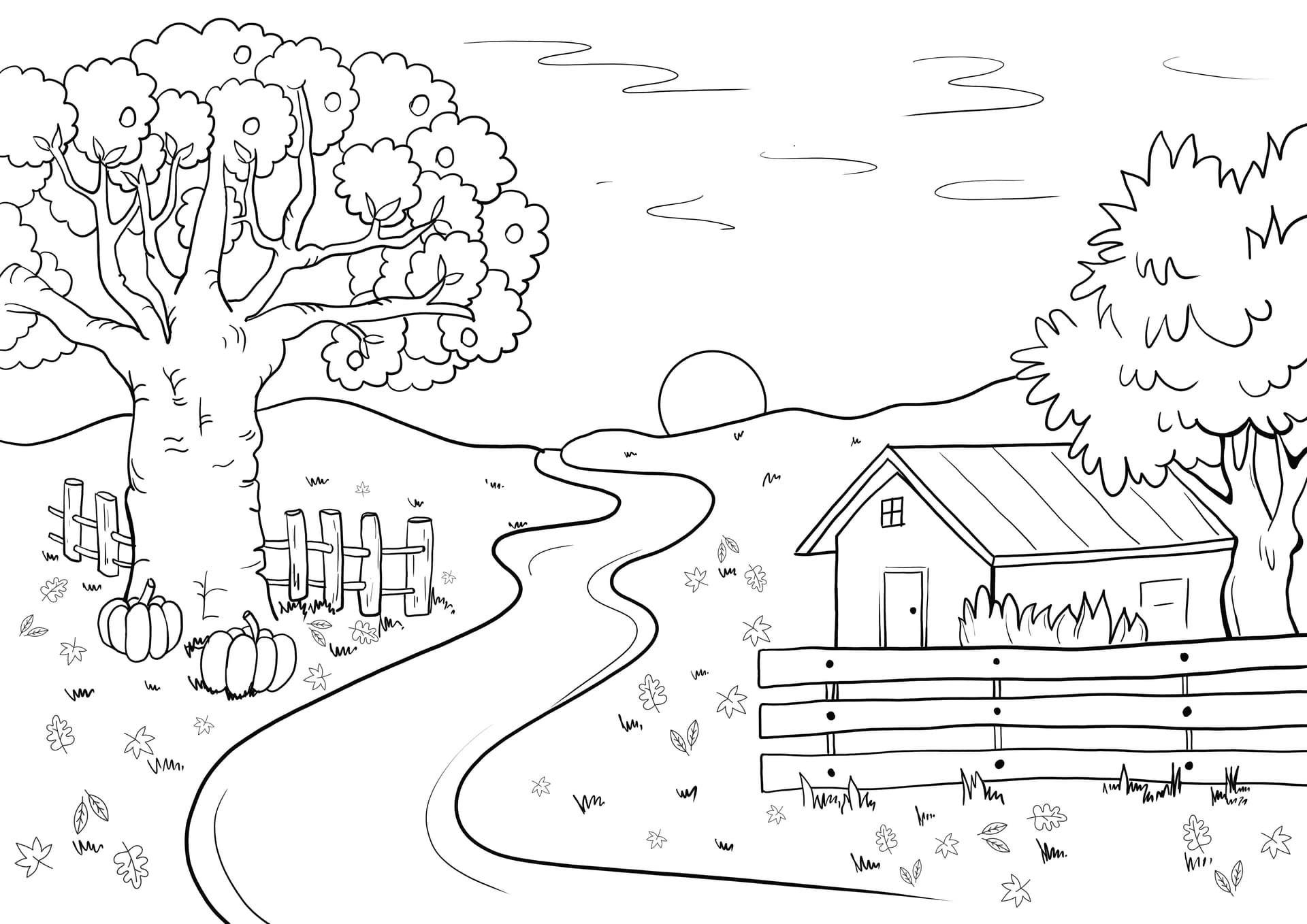 autumn season in the garden