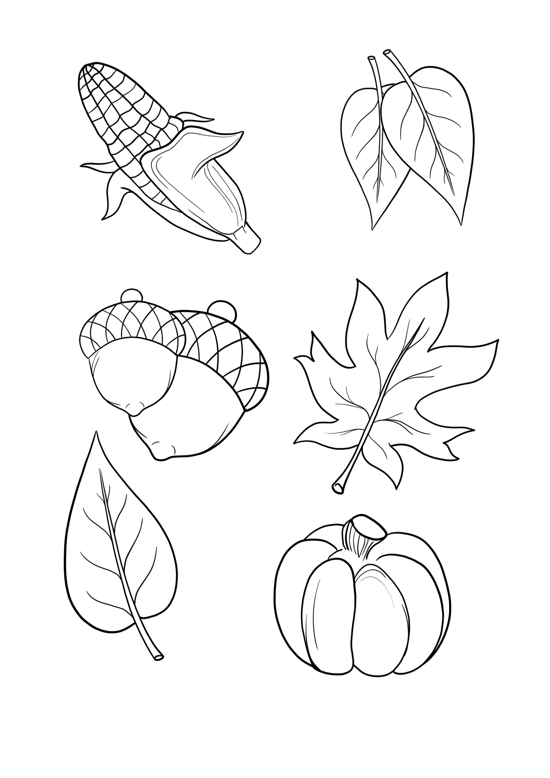 Herbstblätter-Mais-Kürbis-Eichel