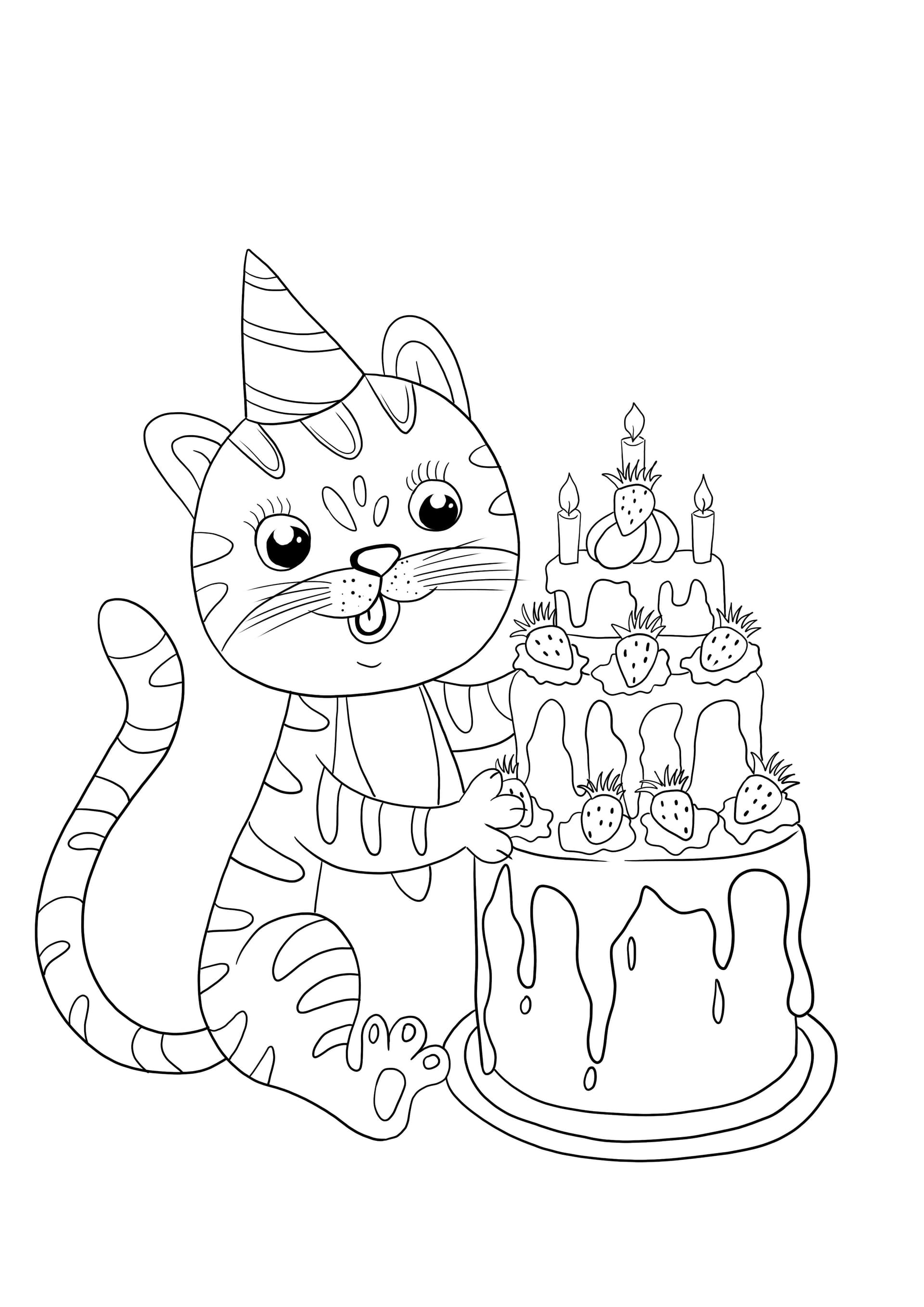 Geburtstagskatze