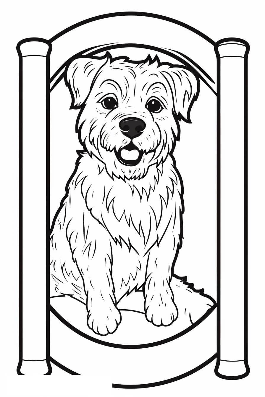 Border Terrier baby 2