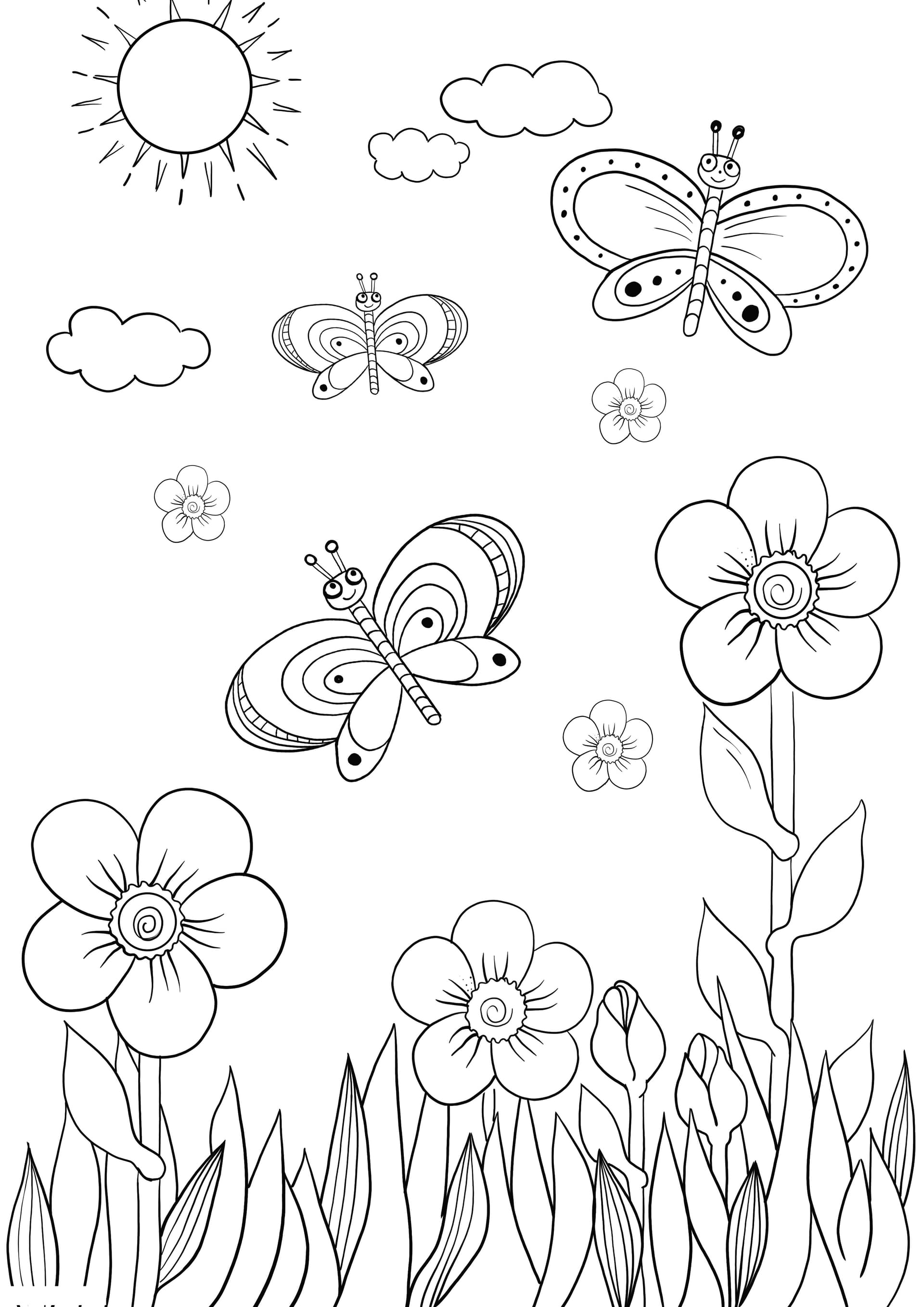 flowers and butterflies
