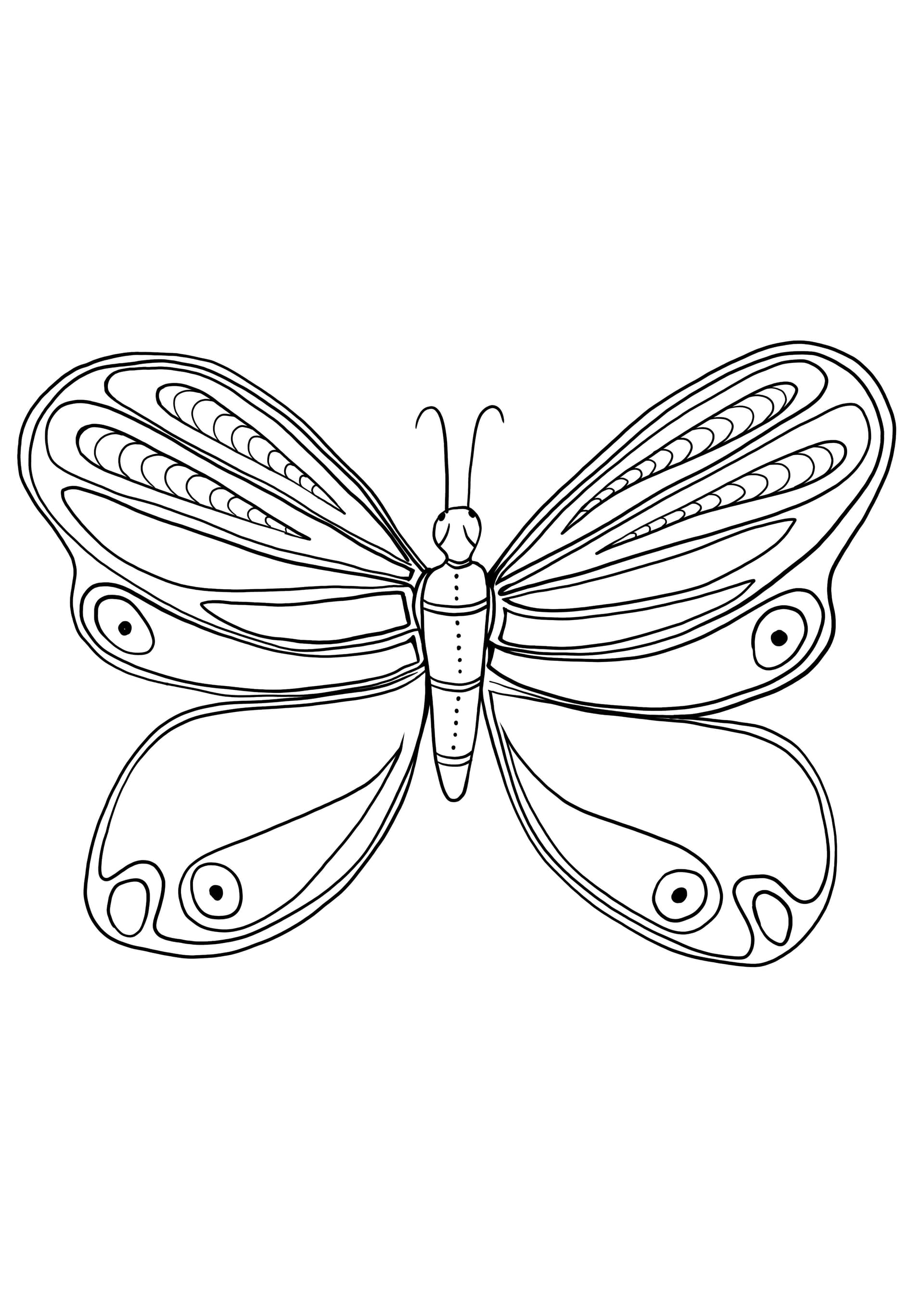 Schmetterling