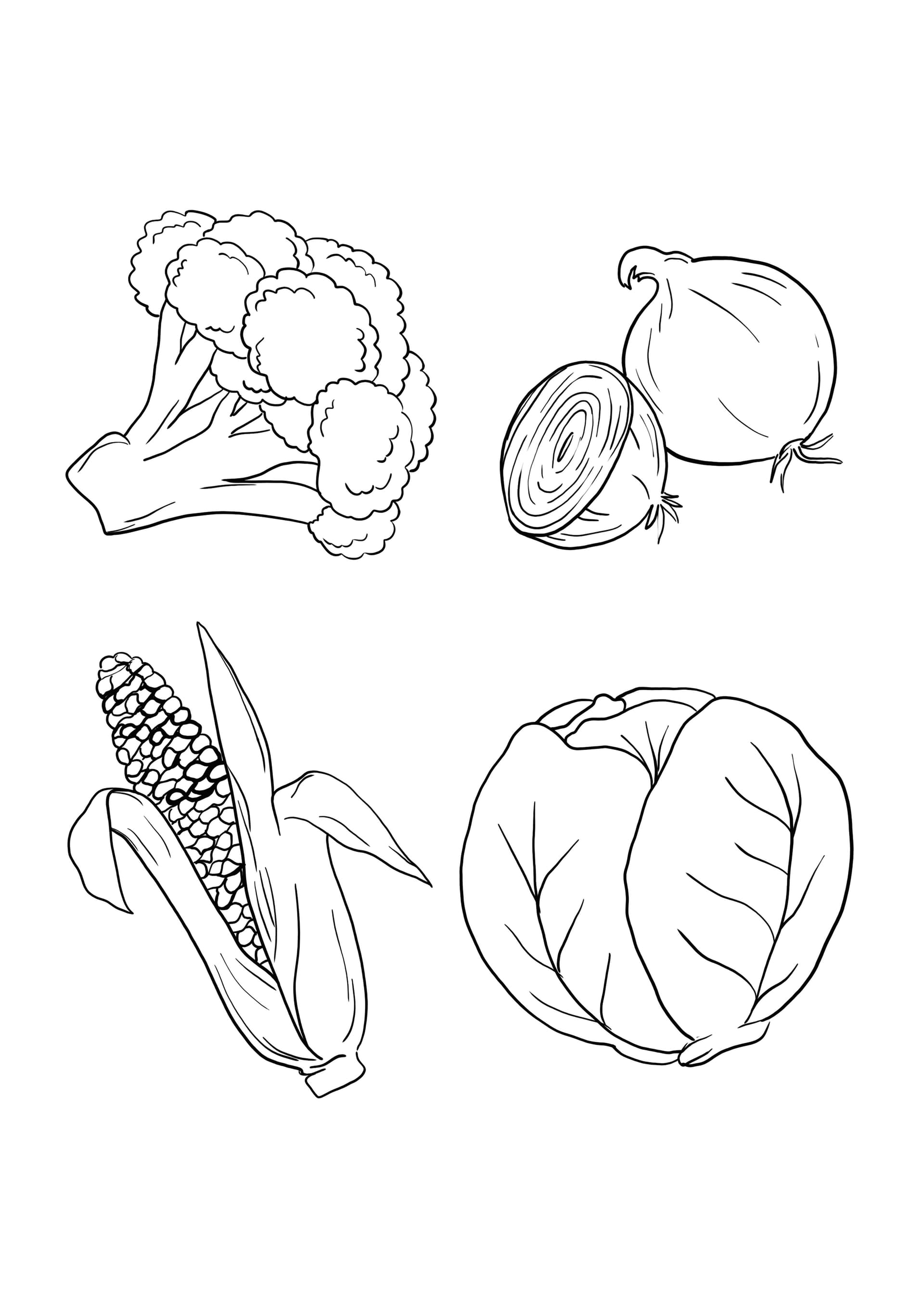 cabbage-corn-onion-broccoli