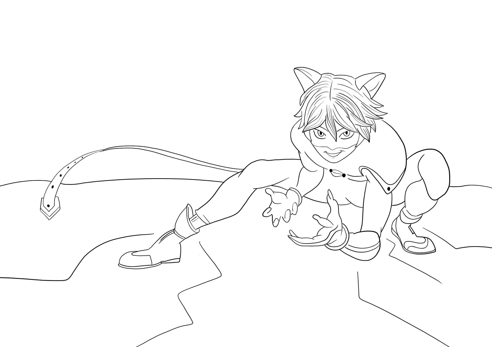 Cat Noir in position