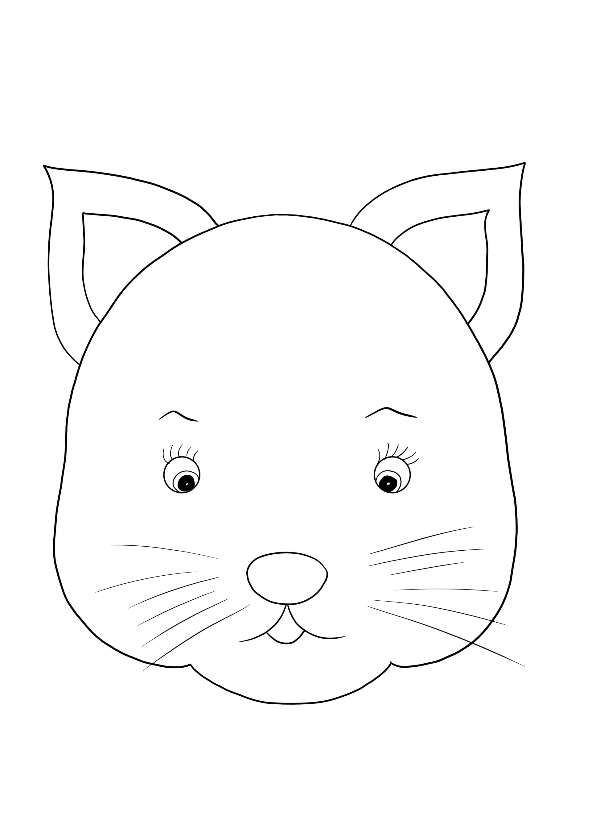Katzengesicht