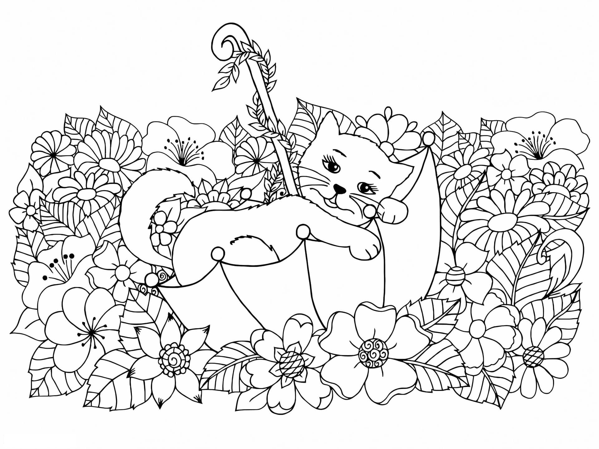 Cat And Flowers