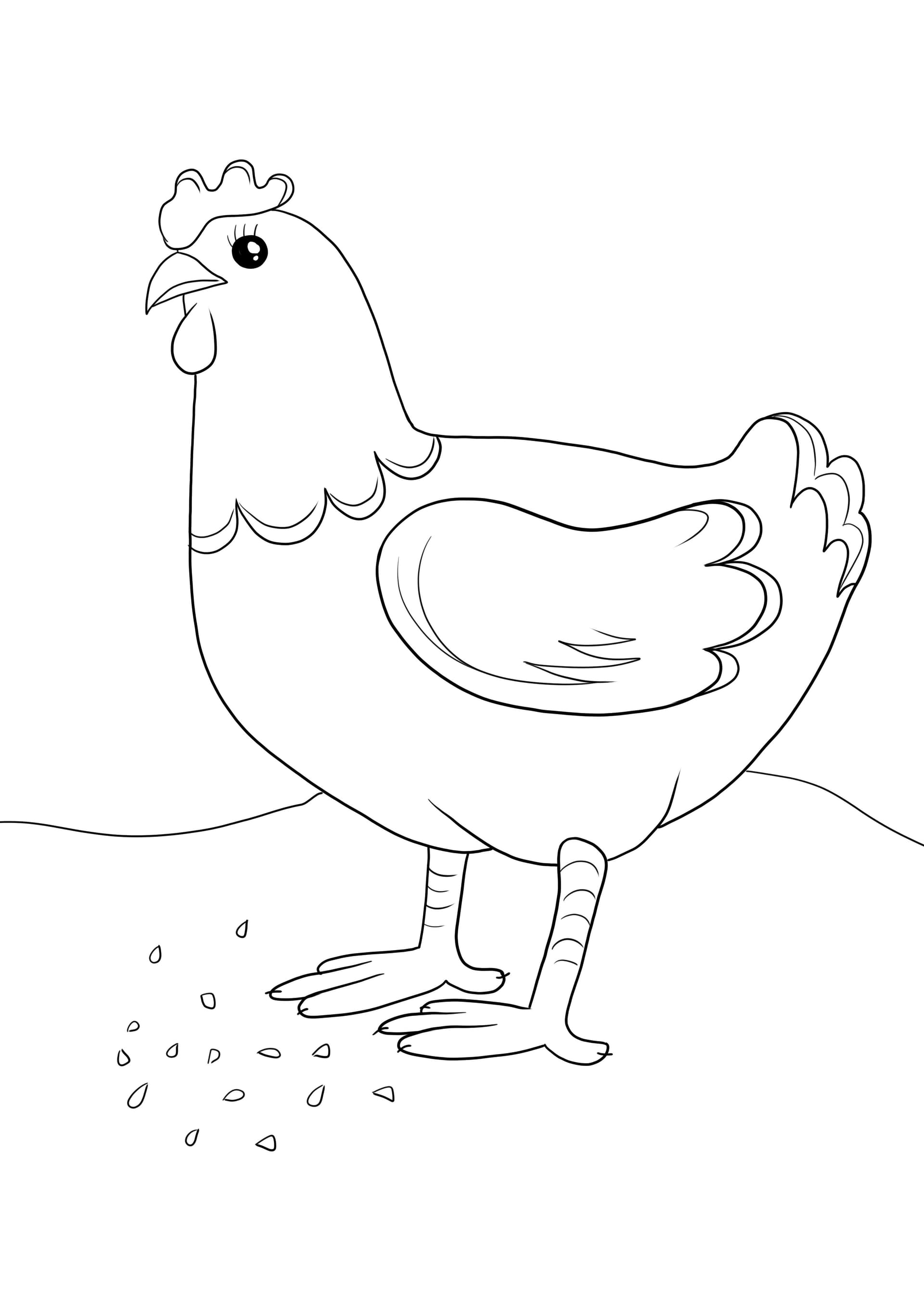 Chicken pecking seeds