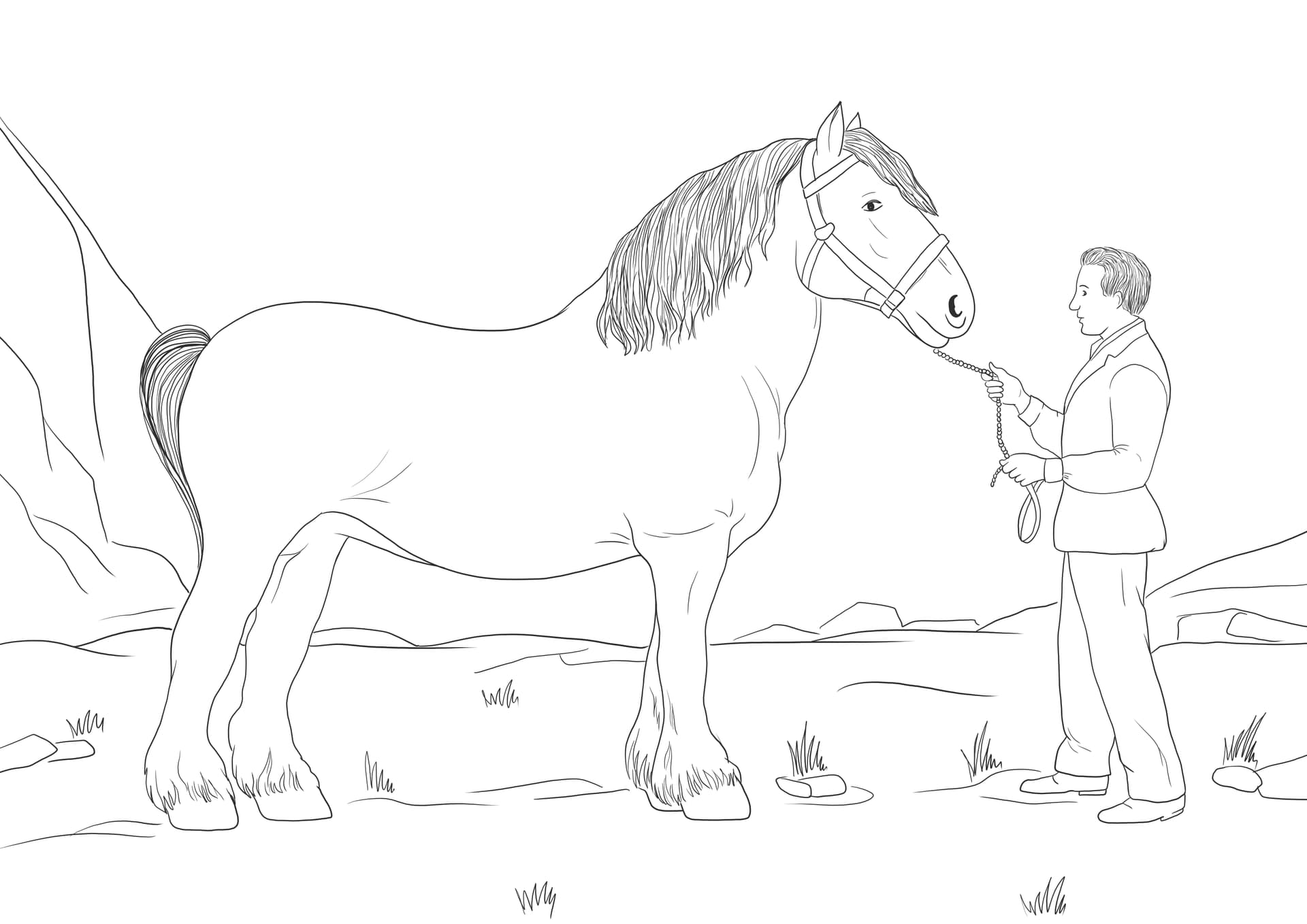 Clydesdale-Pferd