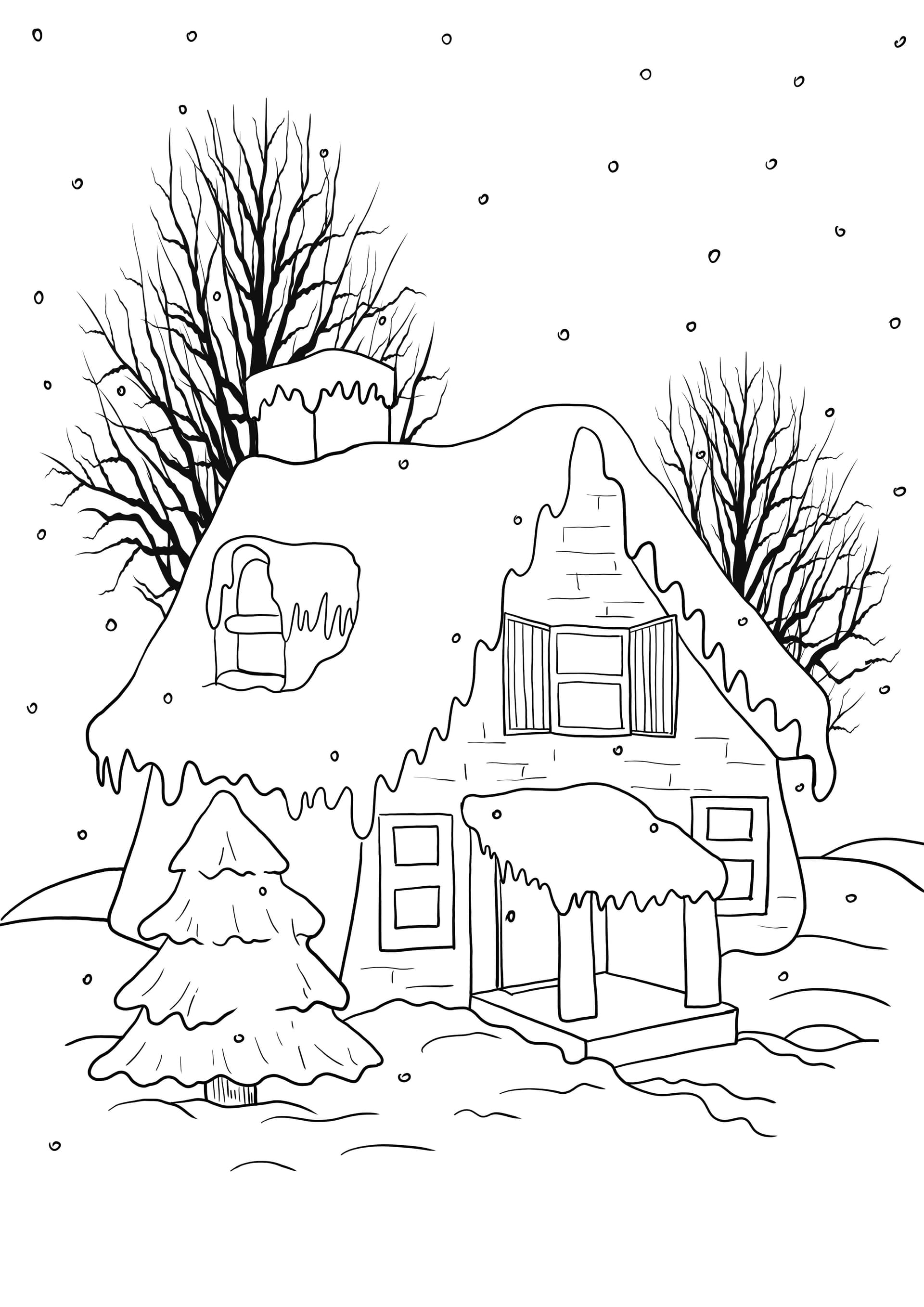 country house in winter