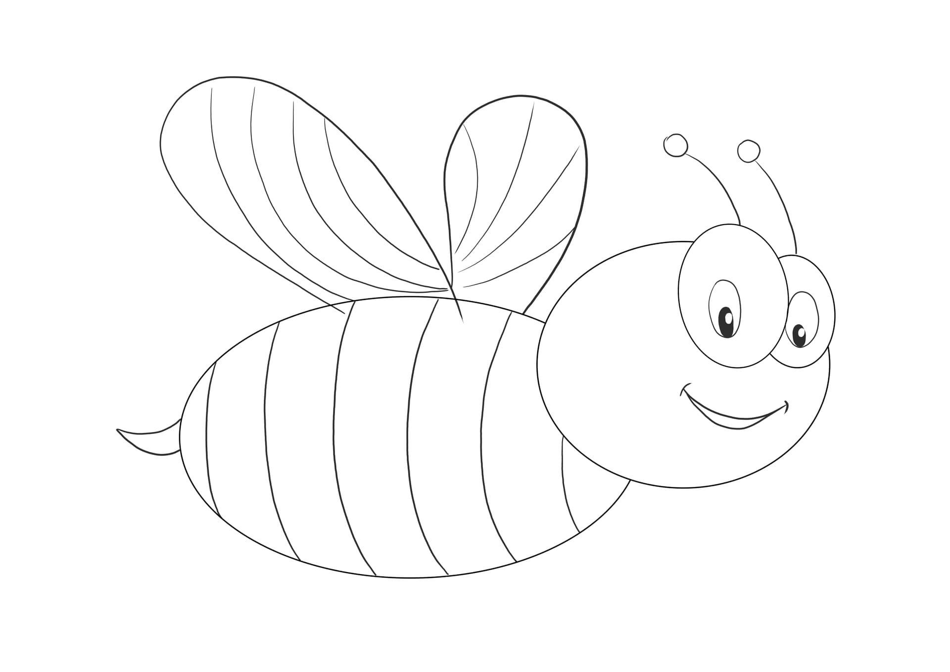 bee