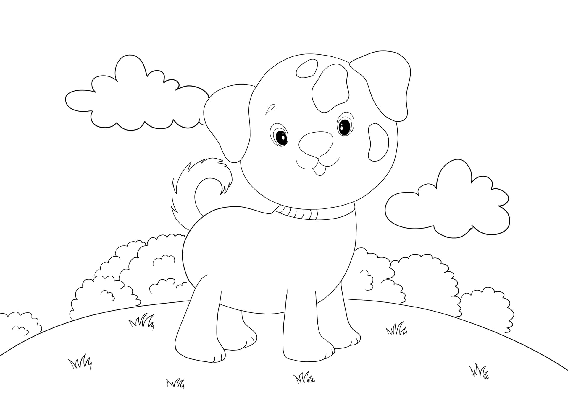 Cute puppy