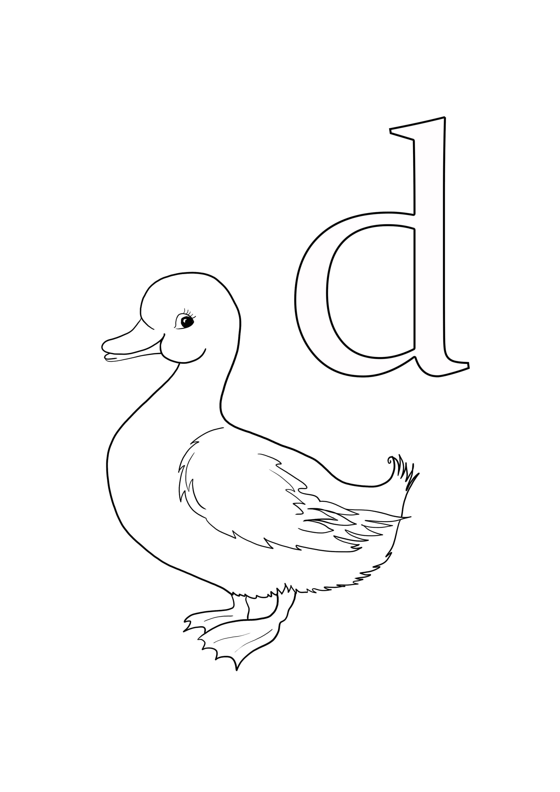 d is for duck