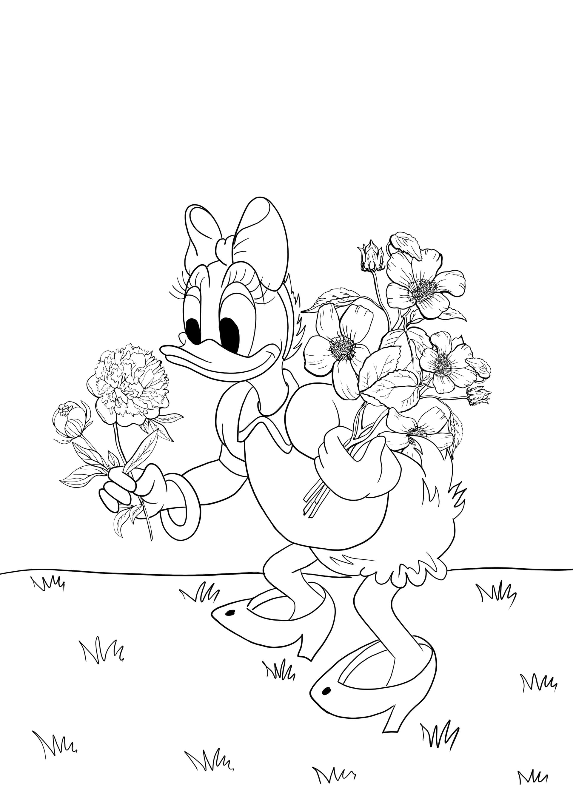 Daisy picking flowers